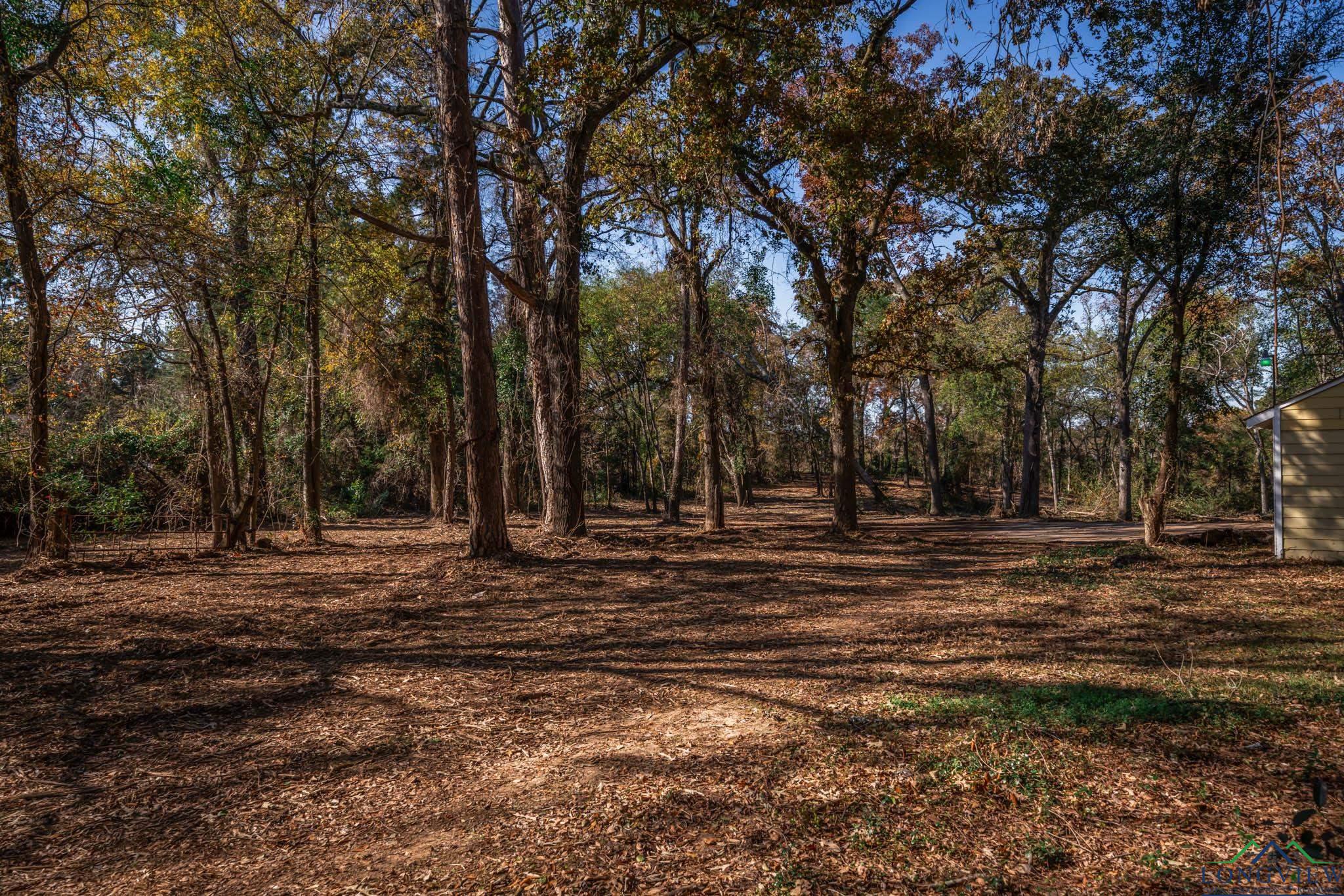 1205 Fm 2685, Gladewater, Texas image 8