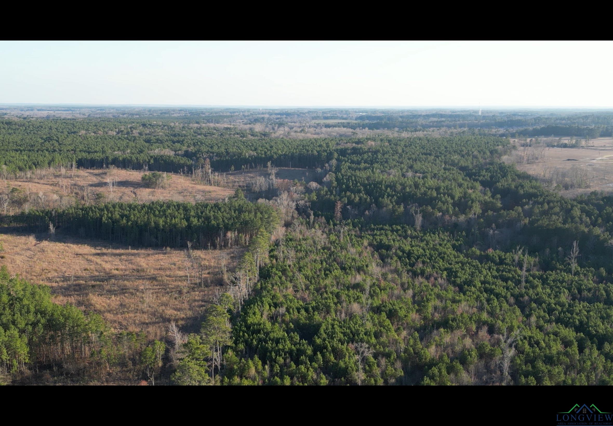 TBD Noonday, Hallsville, Texas image 8