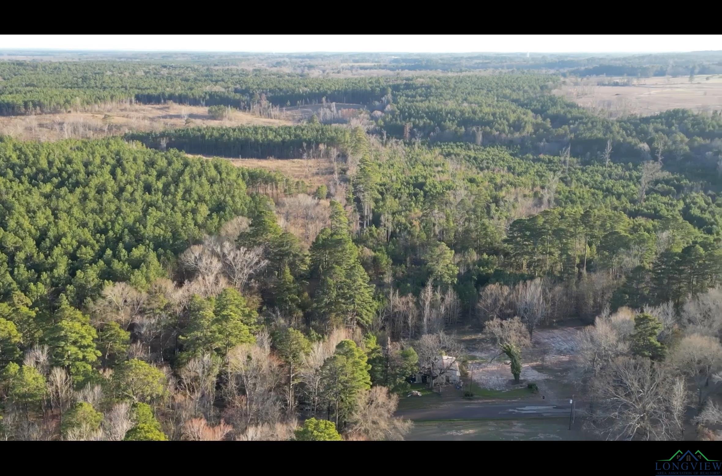 TBD Noonday, Hallsville, Texas image 11