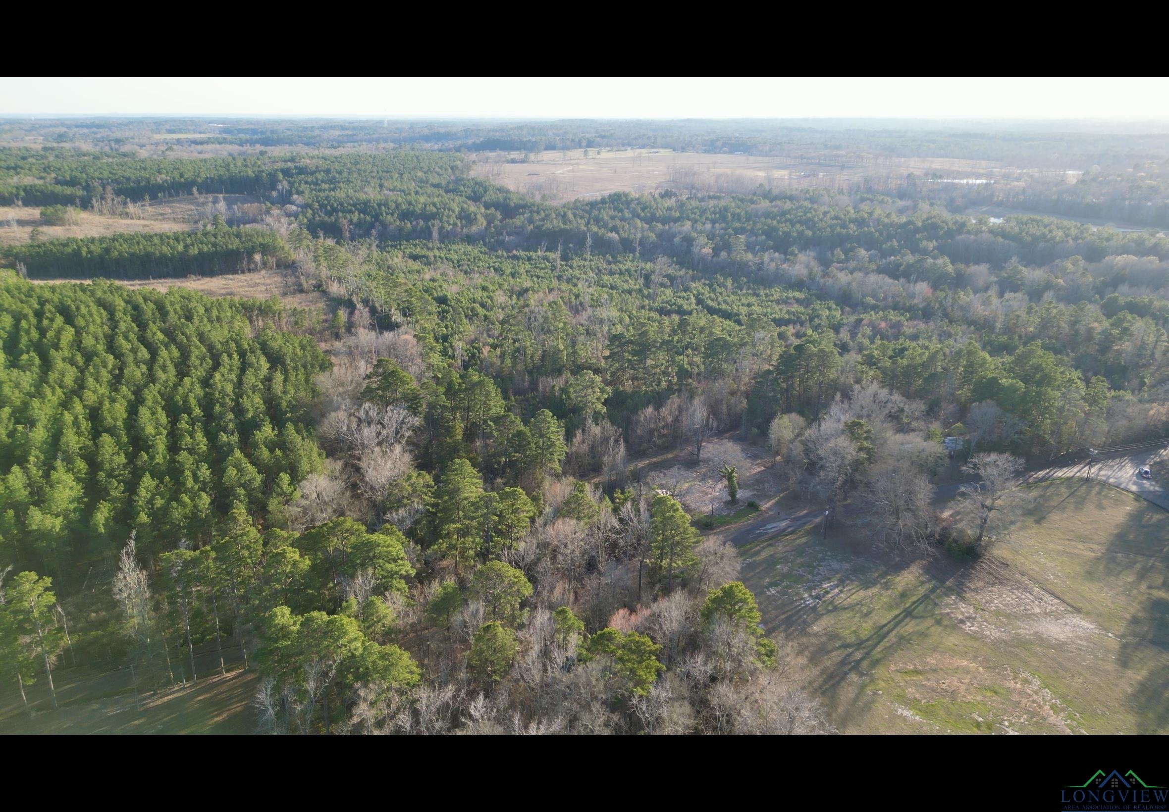 TBD Noonday, Hallsville, Texas image 1