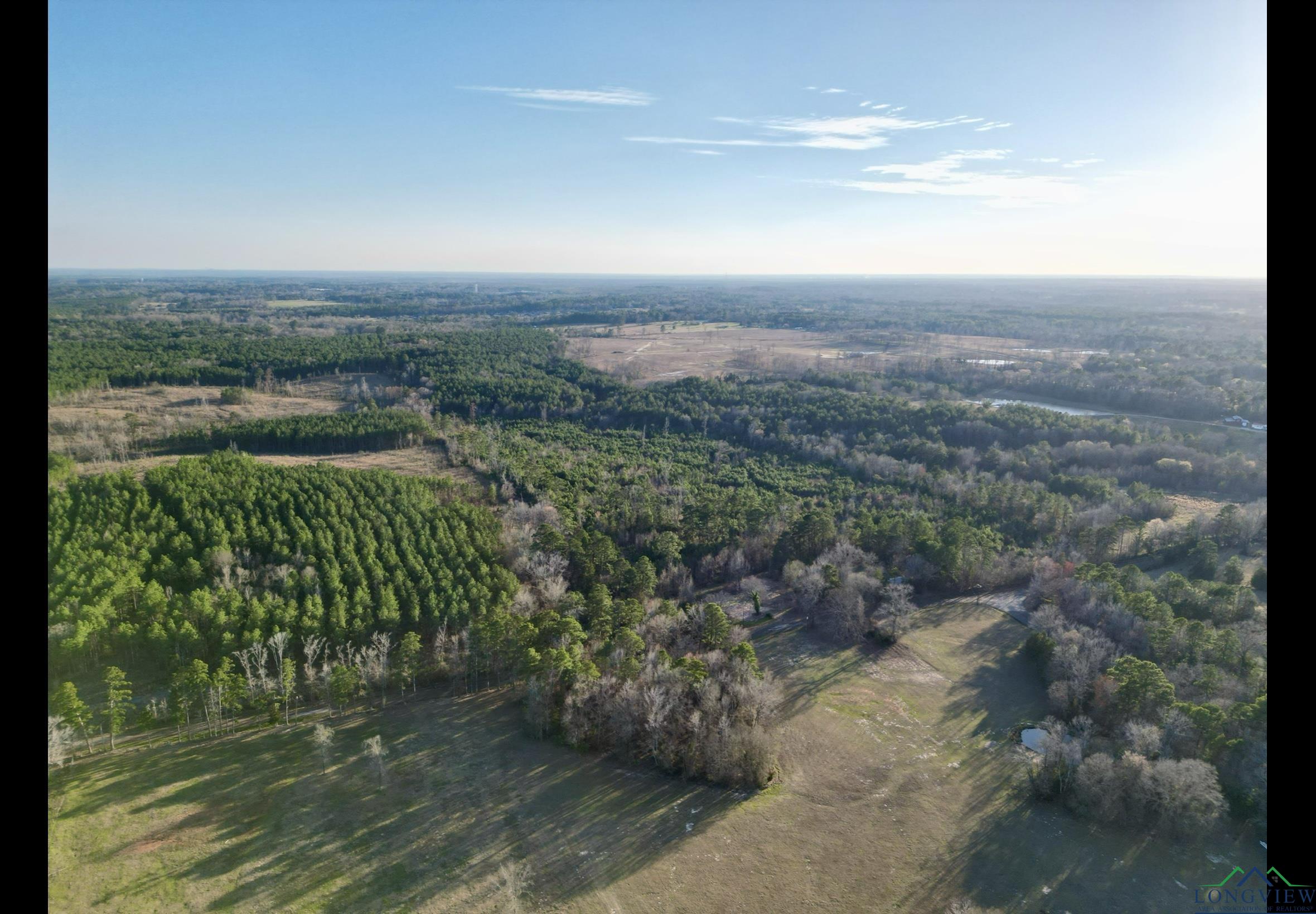 TBD Noonday, Hallsville, Texas image 5