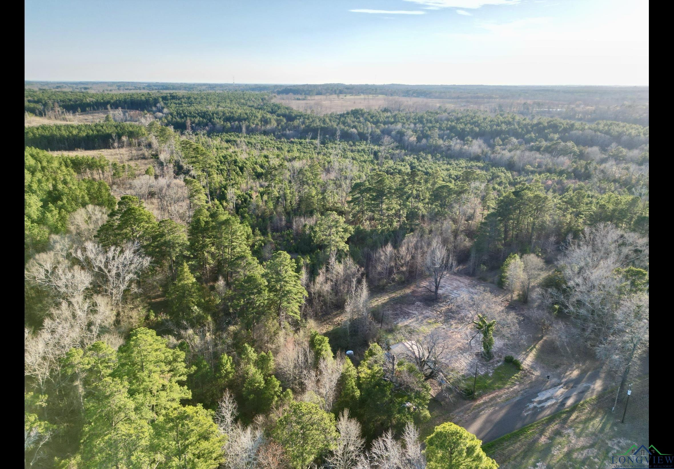 TBD Noonday, Hallsville, Texas image 2