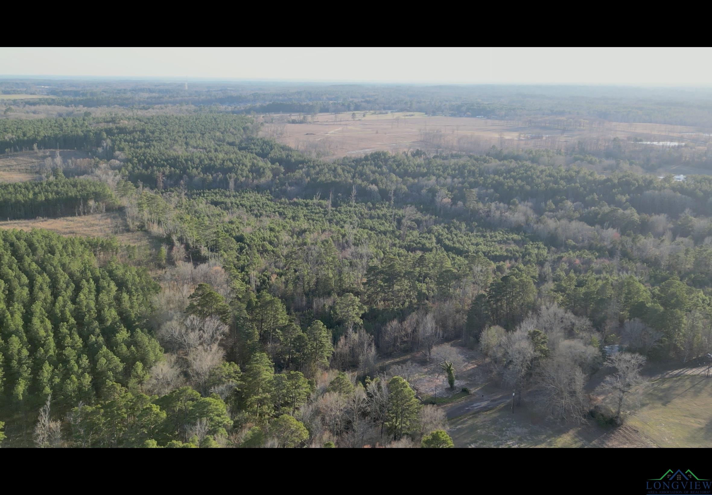 TBD Noonday, Hallsville, Texas image 6