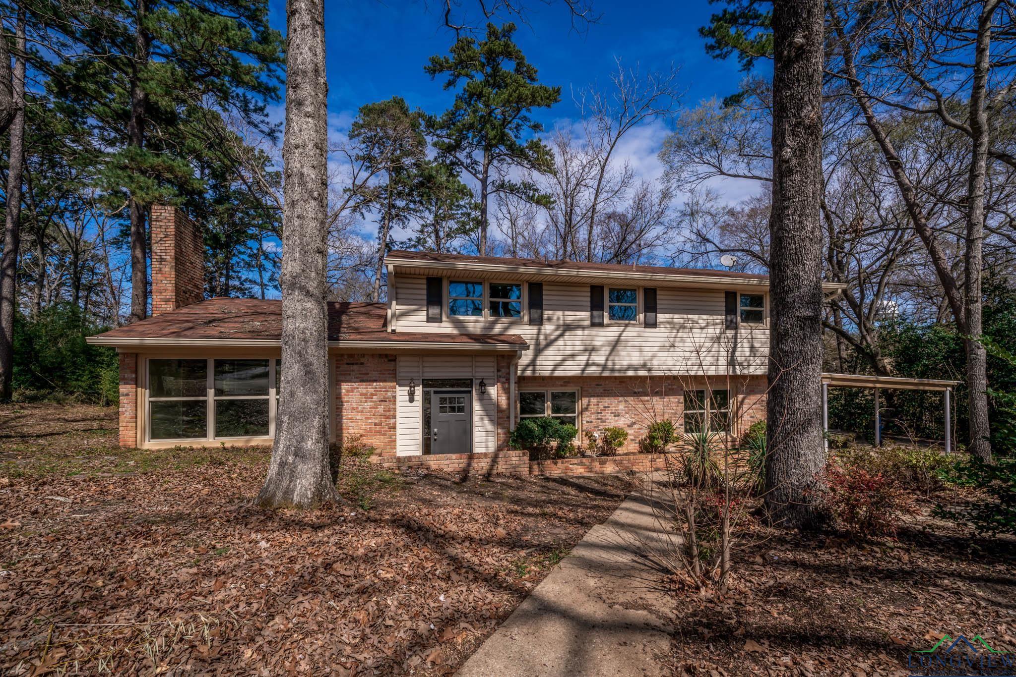 3517 Danville Drive, Kilgore, Texas image 1