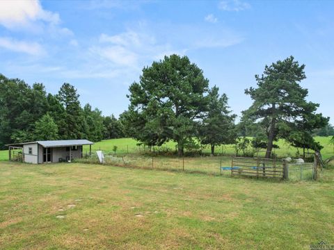 A home in Winnsboro