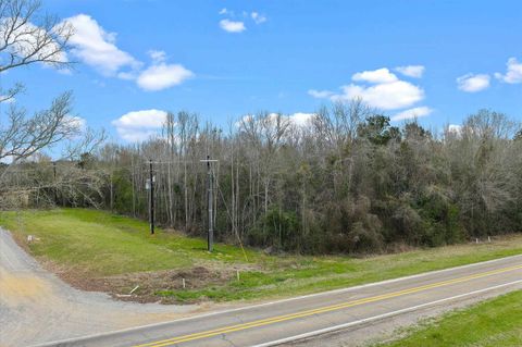 Vacant Land For Sale - 754 St Highway 147<br/> Shelby County, Center, TX 75935