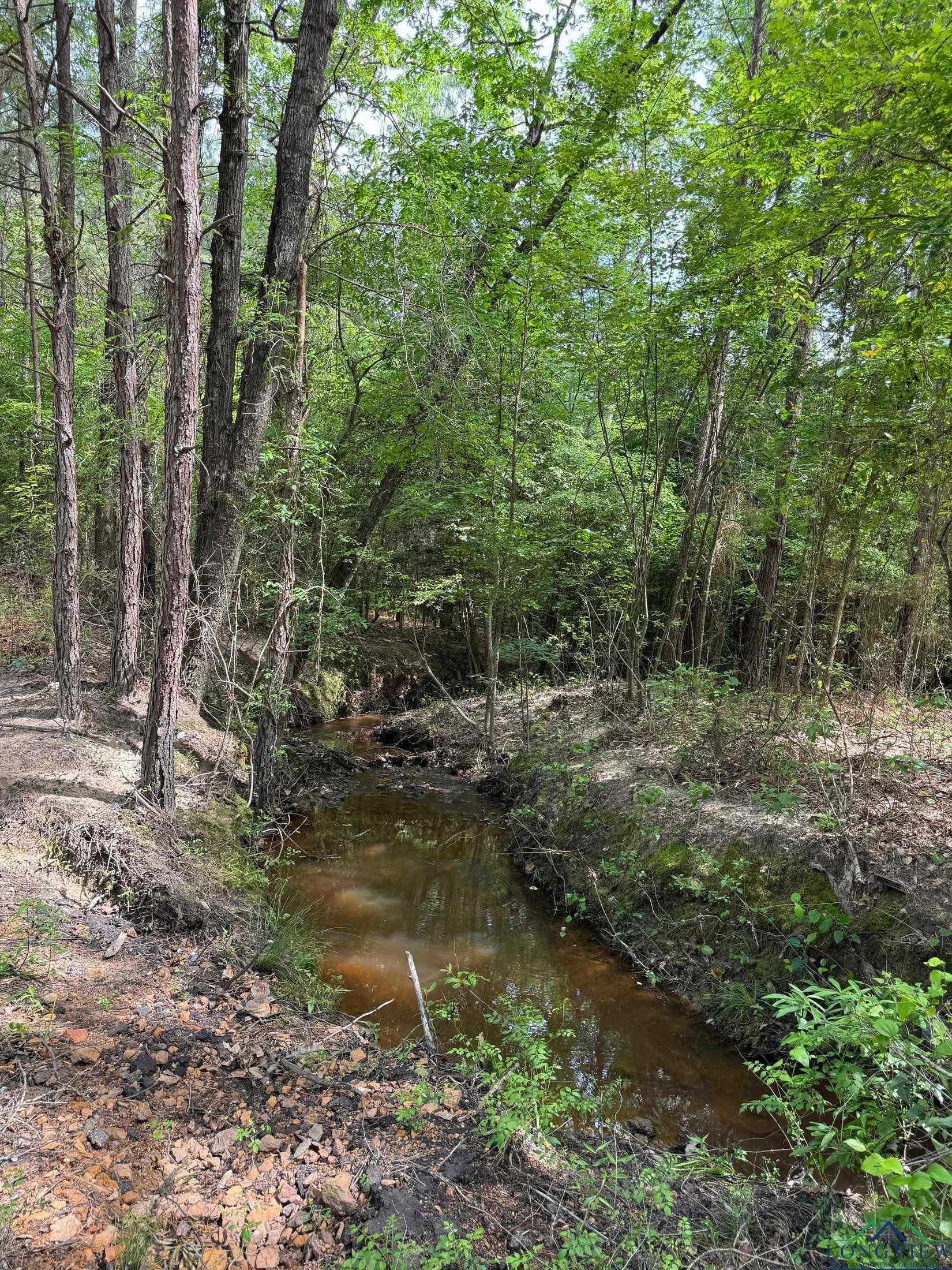 TBD Cr 1926, Linden, Texas image 11