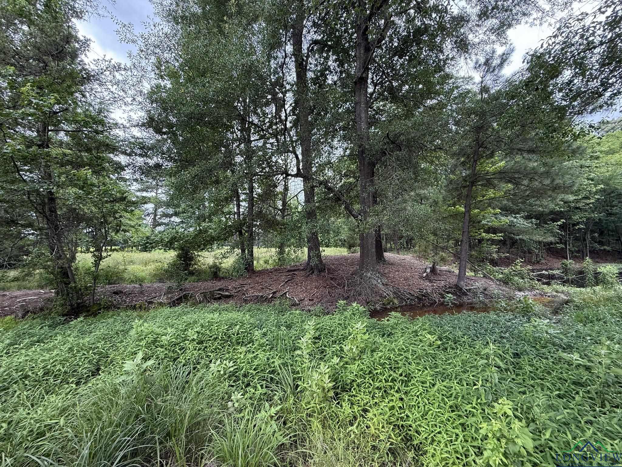 8771 Fm 993, Pittsburg, Texas image 25