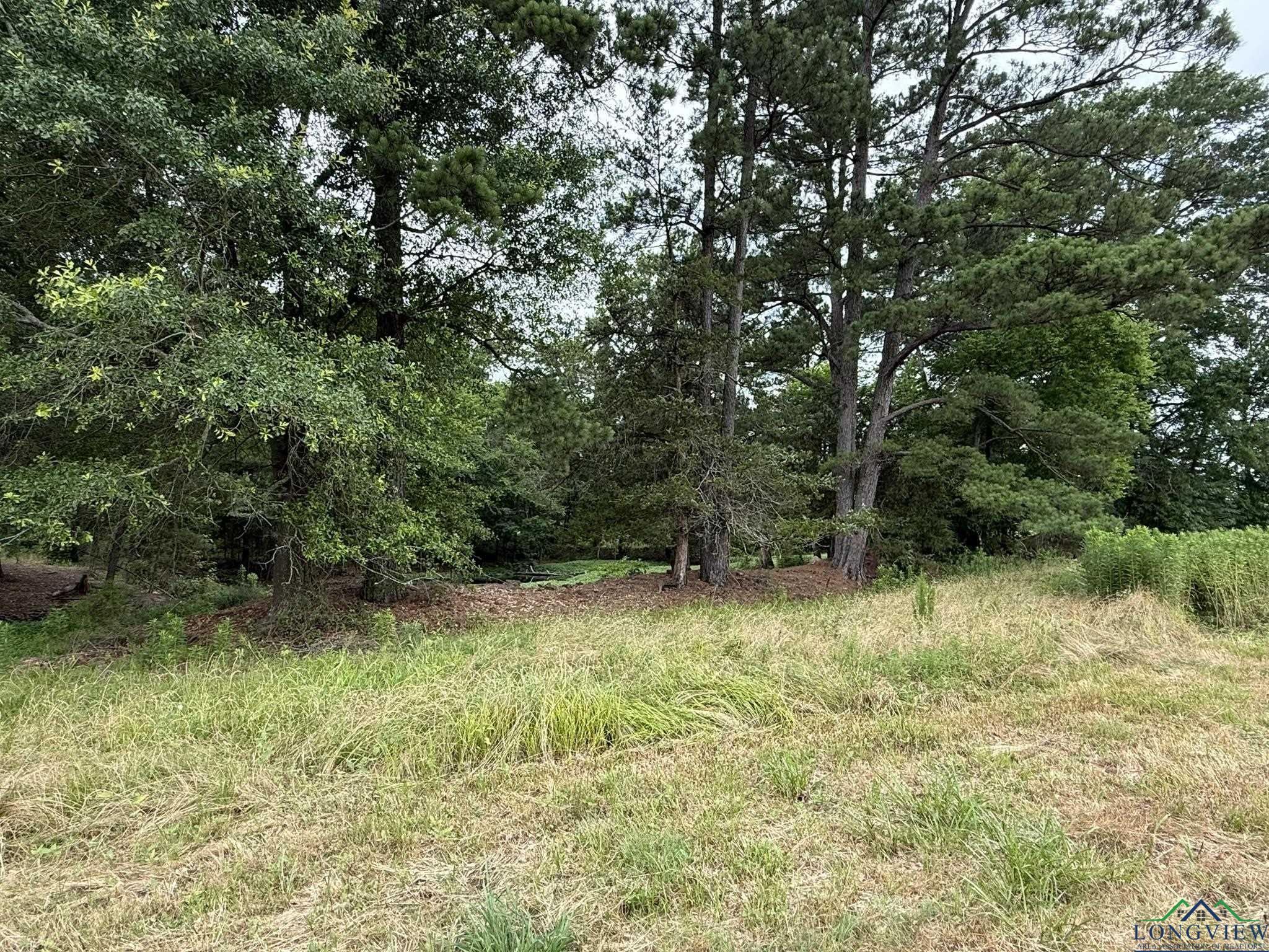 8771 Fm 993, Pittsburg, Texas image 14