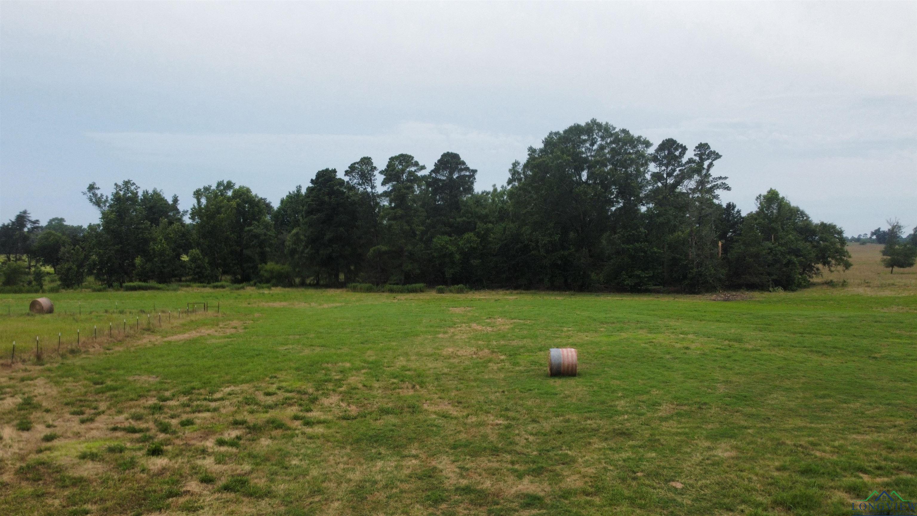 8771 Fm 993, Pittsburg, Texas image 30
