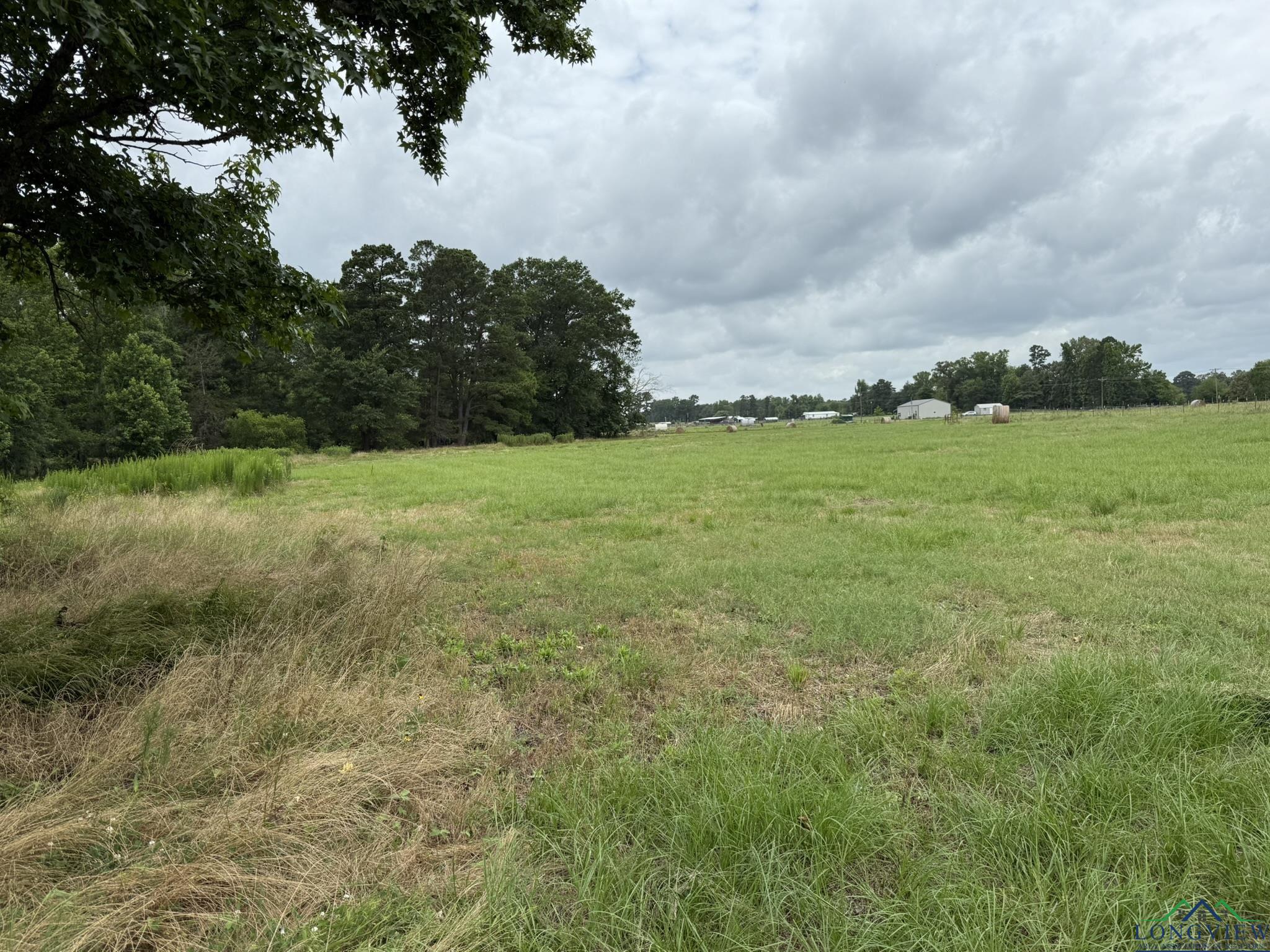 8771 Fm 993, Pittsburg, Texas image 6