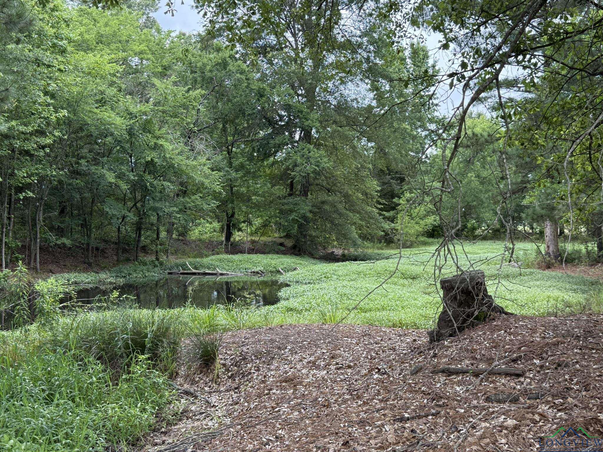 8771 Fm 993, Pittsburg, Texas image 9