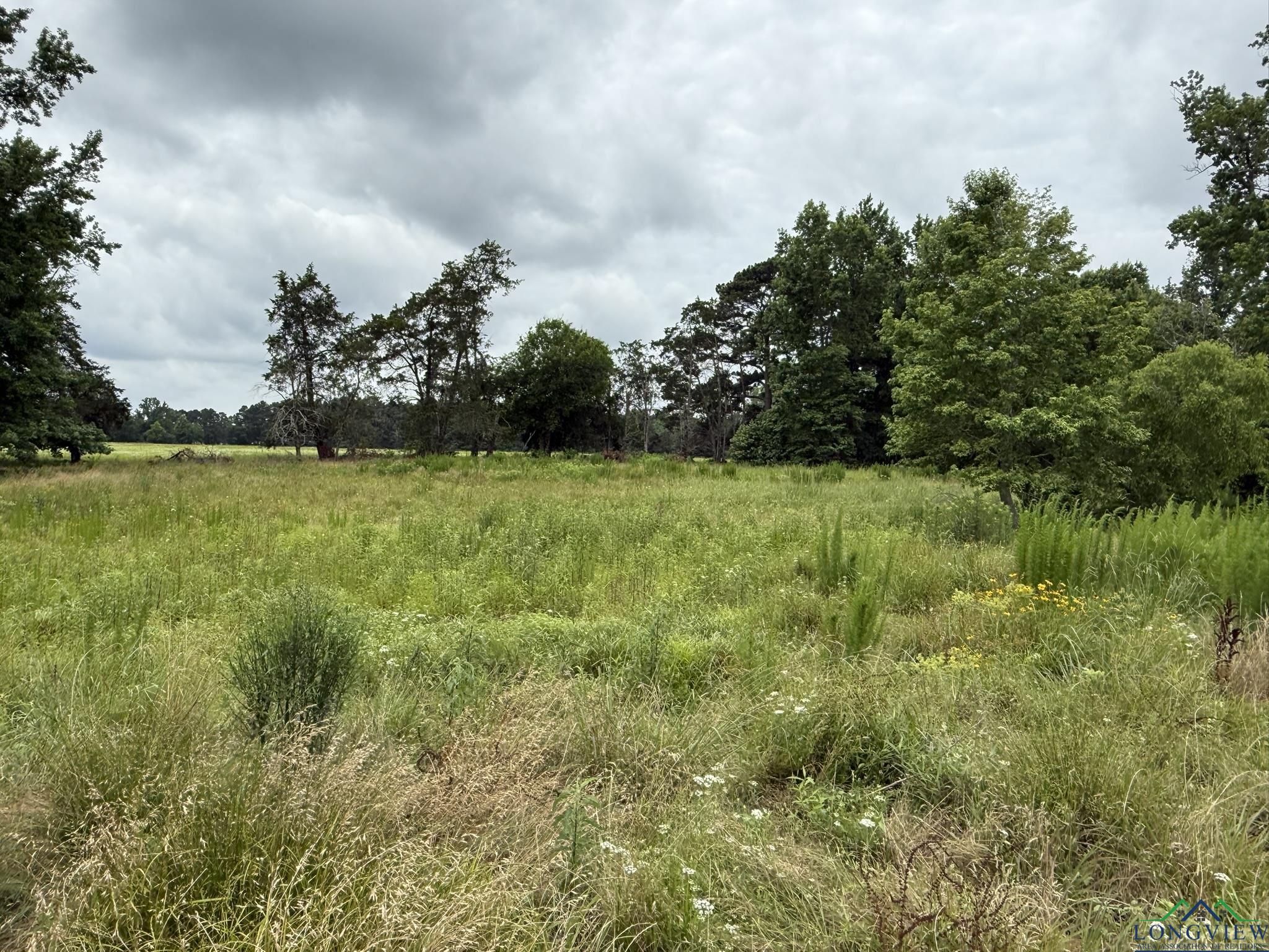 8771 Fm 993, Pittsburg, Texas image 24
