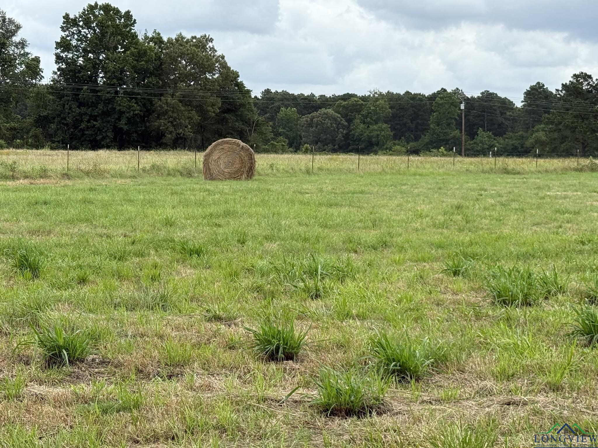 8771 Fm 993, Pittsburg, Texas image 13