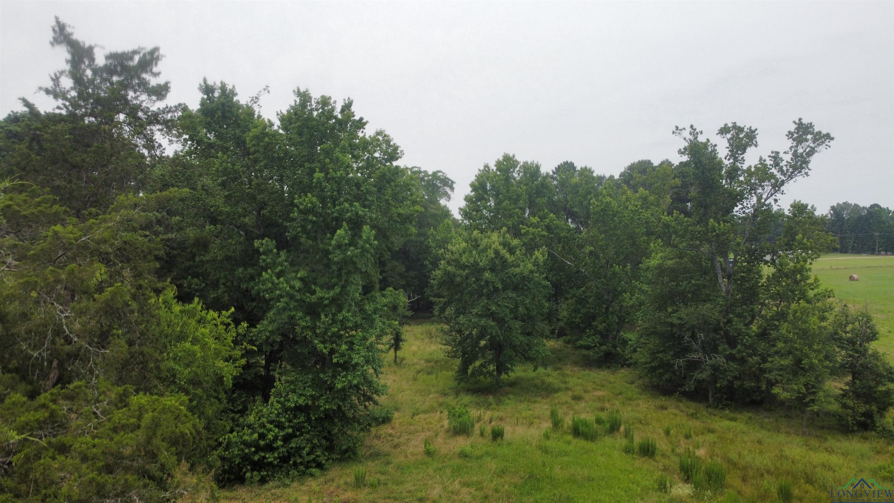 8771 Fm 993, Pittsburg, Texas image 37