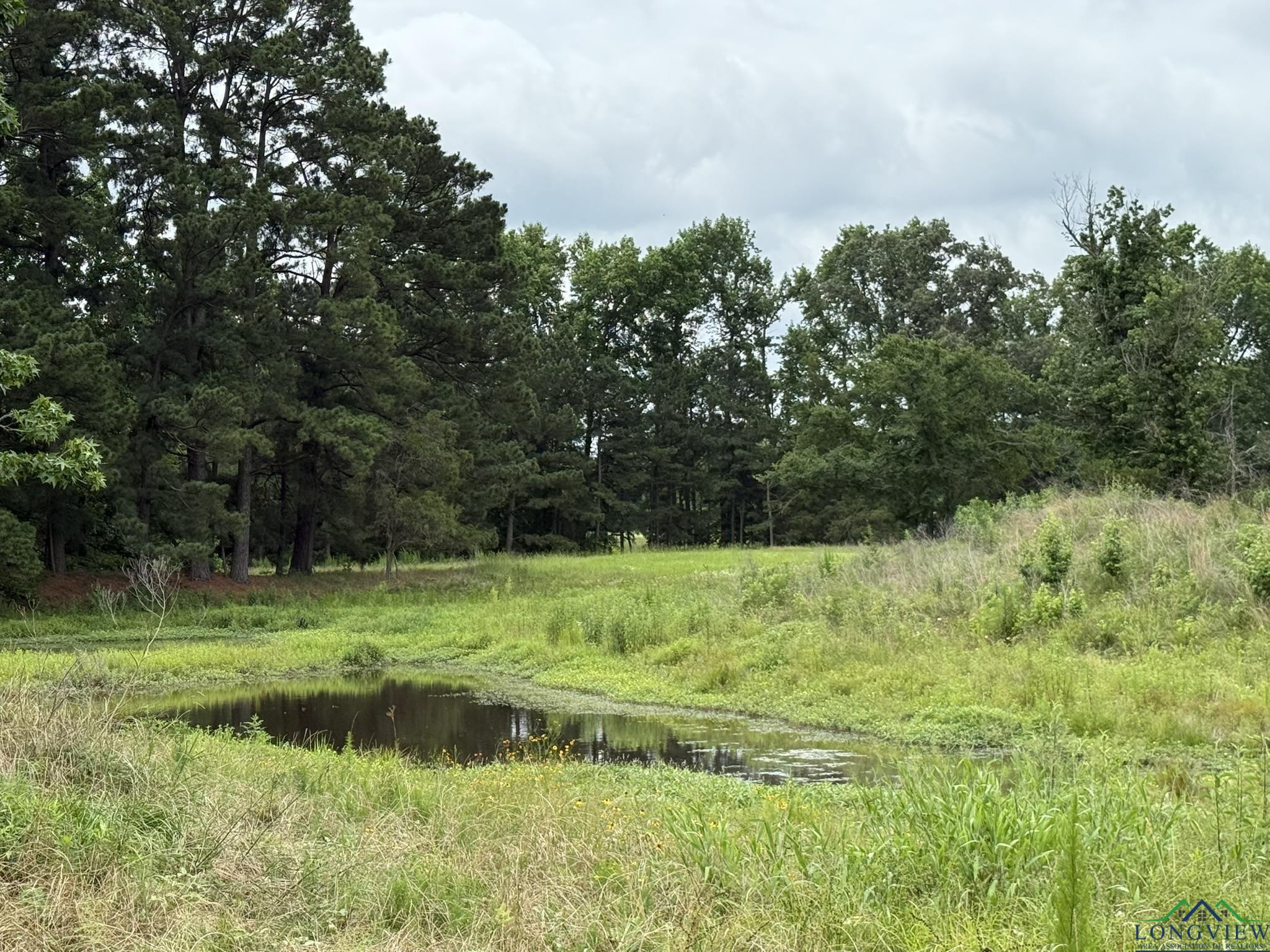 8771 Fm 993, Pittsburg, Texas image 7
