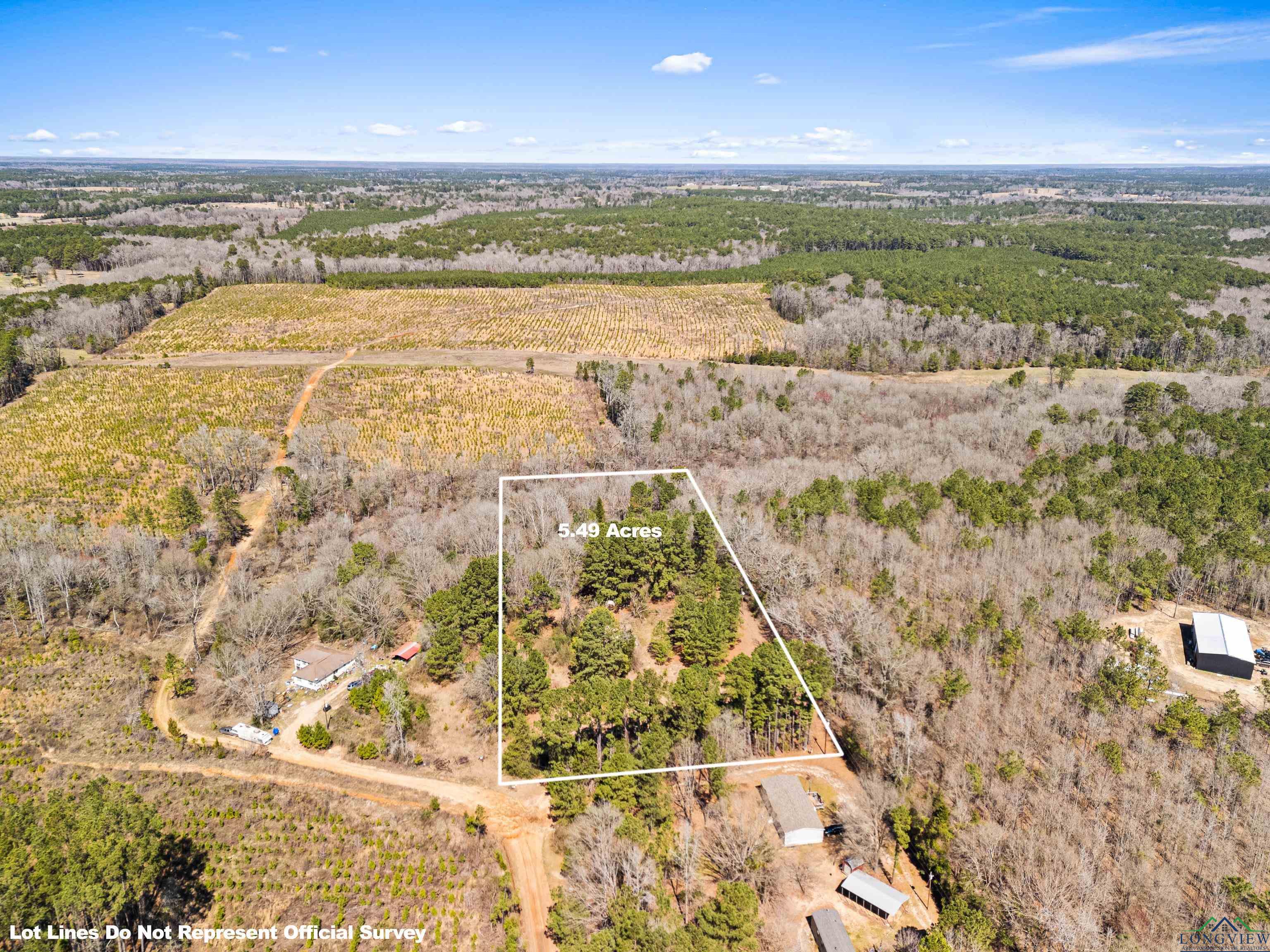 284 County Road 2227 Lane, Douglassville, New Mexico image 4
