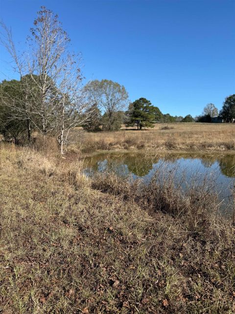 Vacant Land For Sale - TBD County Rd 2746<br/> Hughes Springs, TX 75656