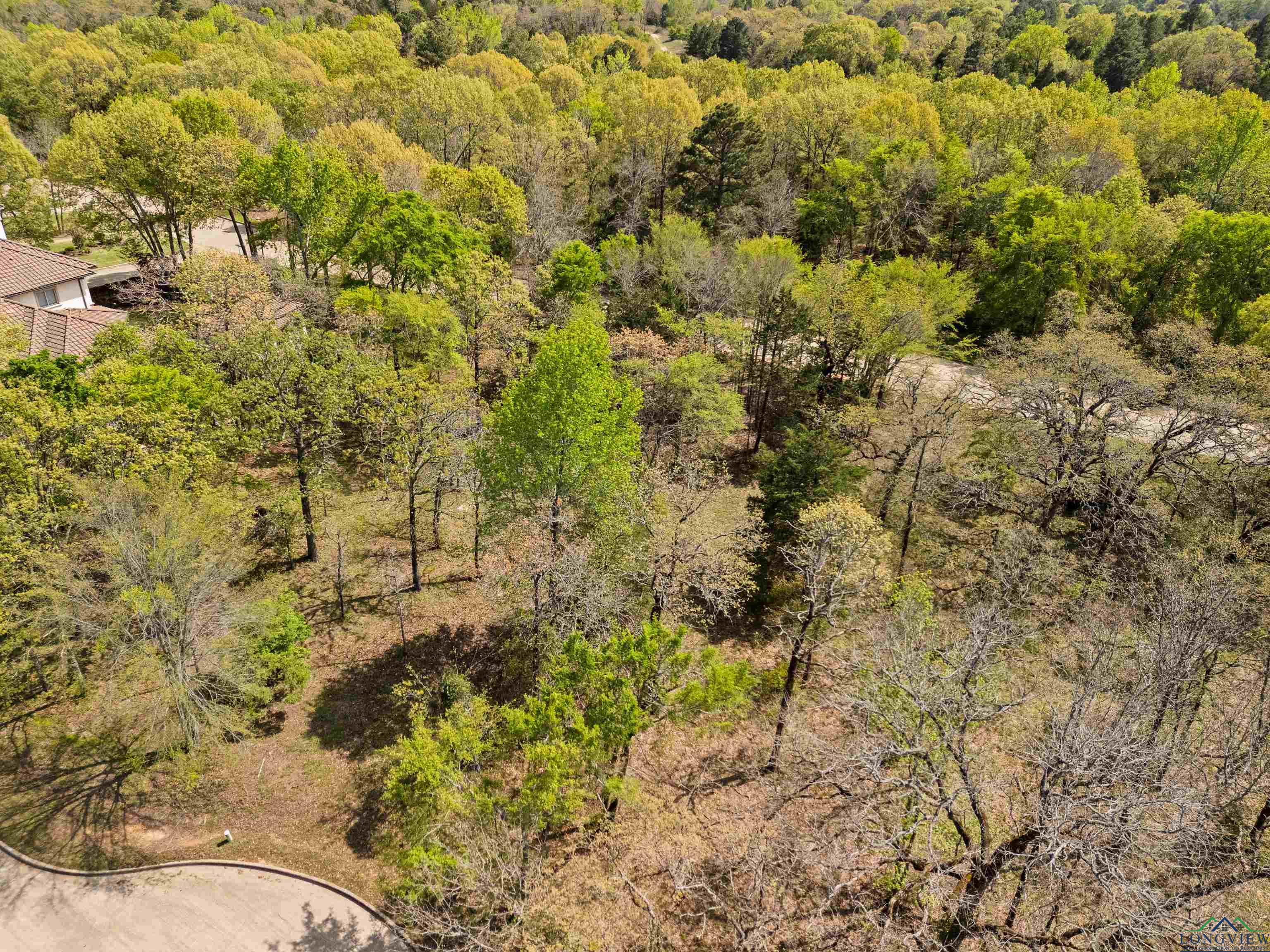 4856 Nicklaus Court, Tyler, Texas image 6