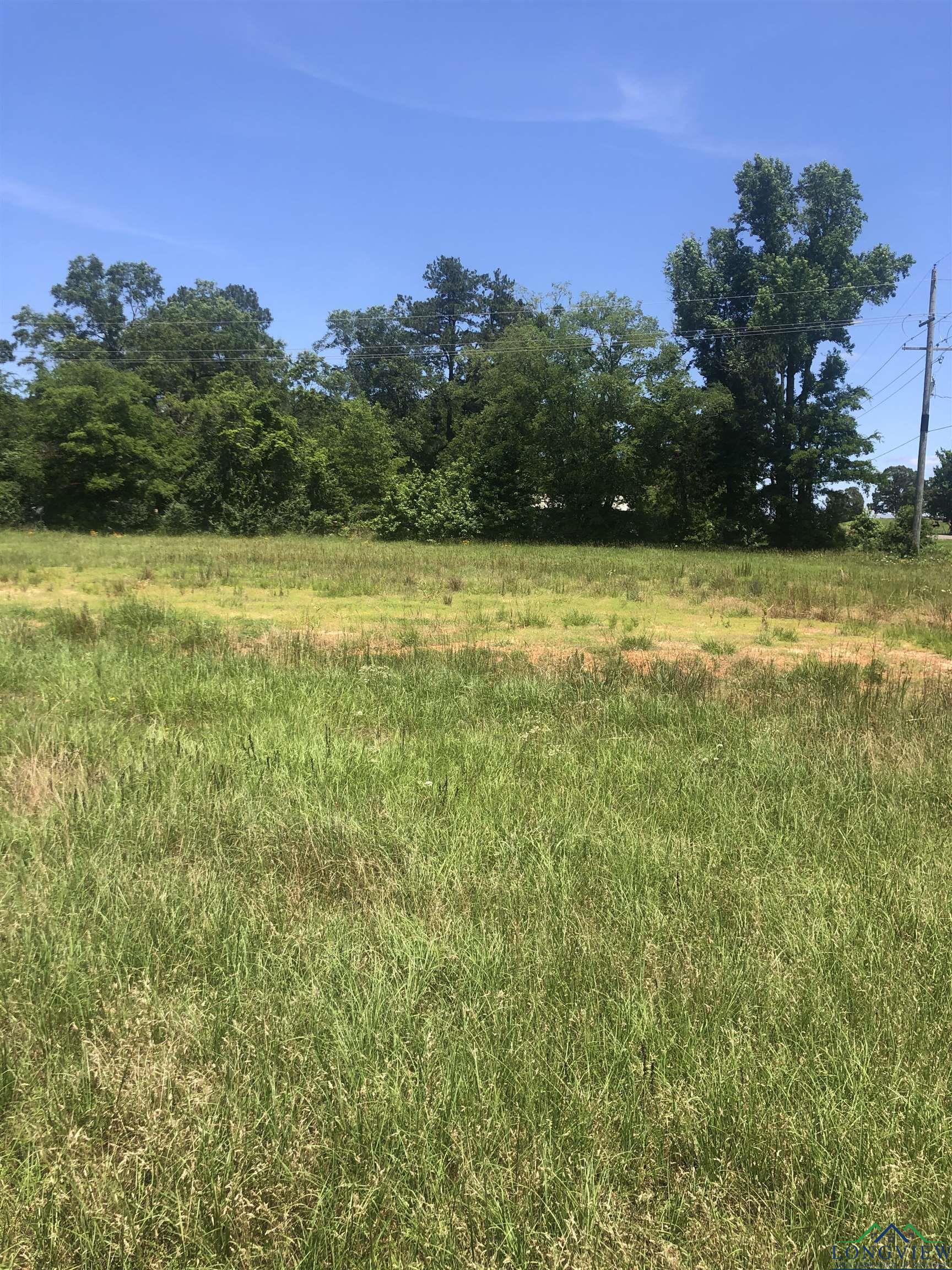TBD Meadow Lane, Naples, Texas image 1