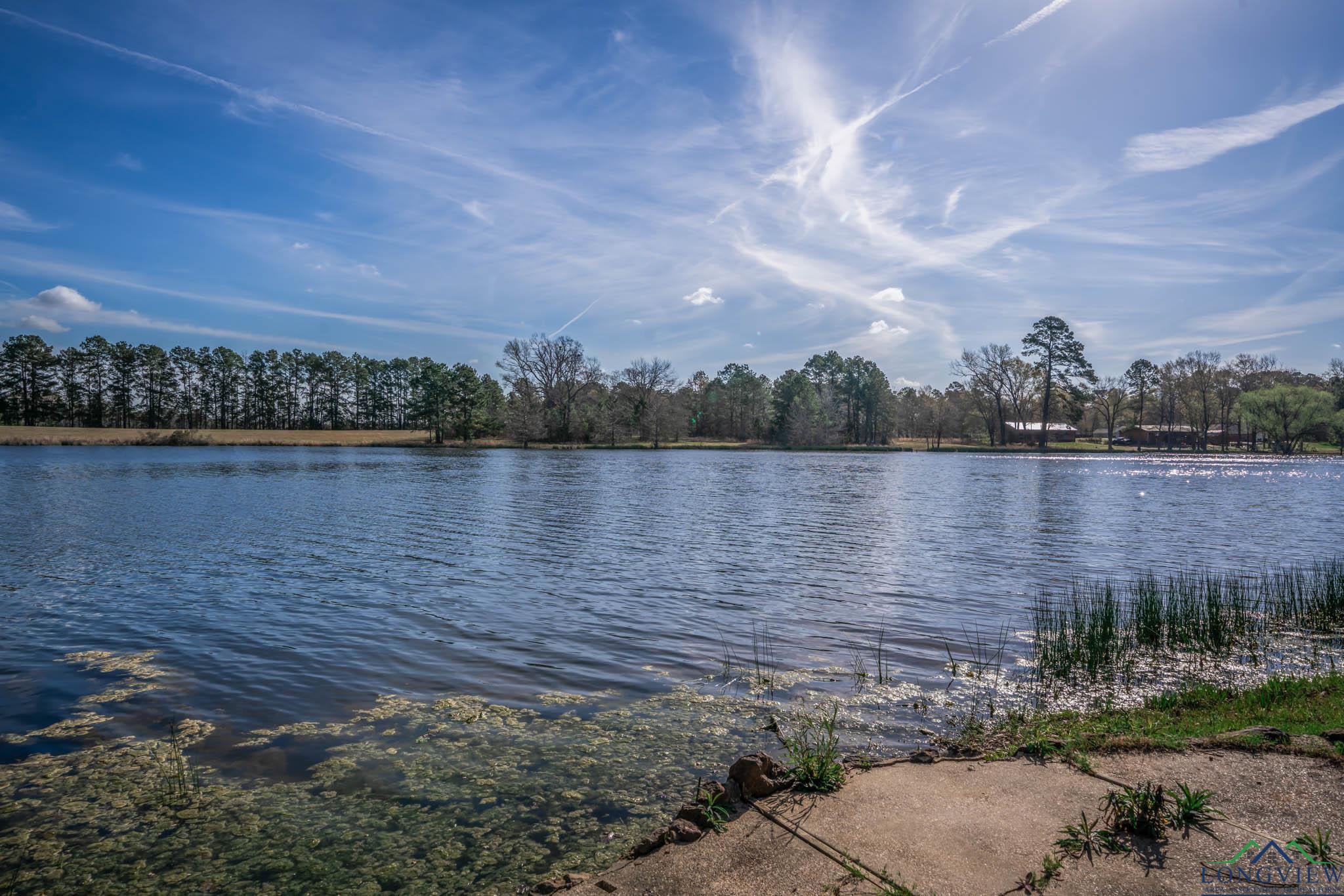 6933 S Beaverwood Street, Gilmer, Texas image 41