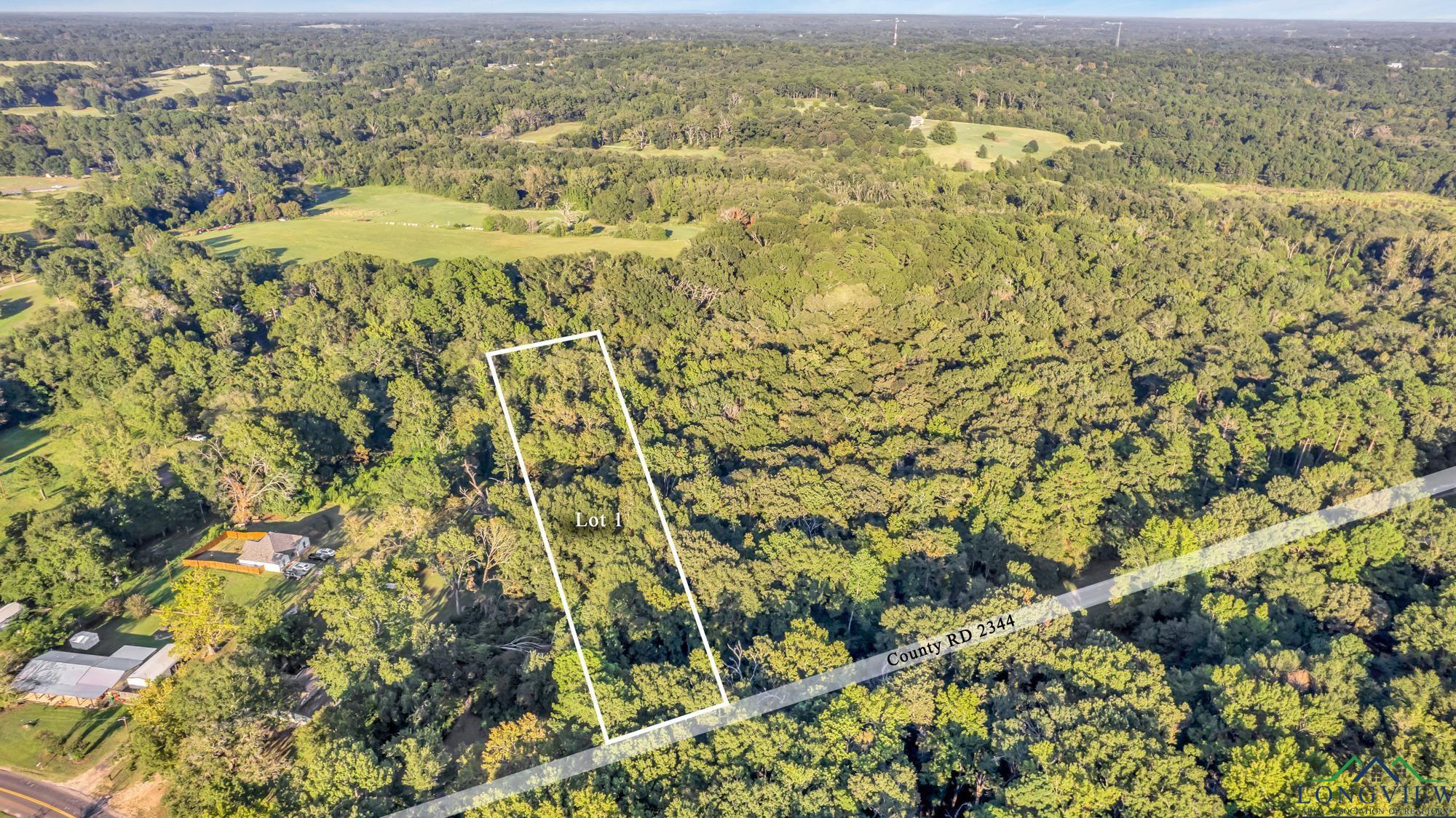 Lot 1 & 2 Cr 2344, Tyler, Texas image 1