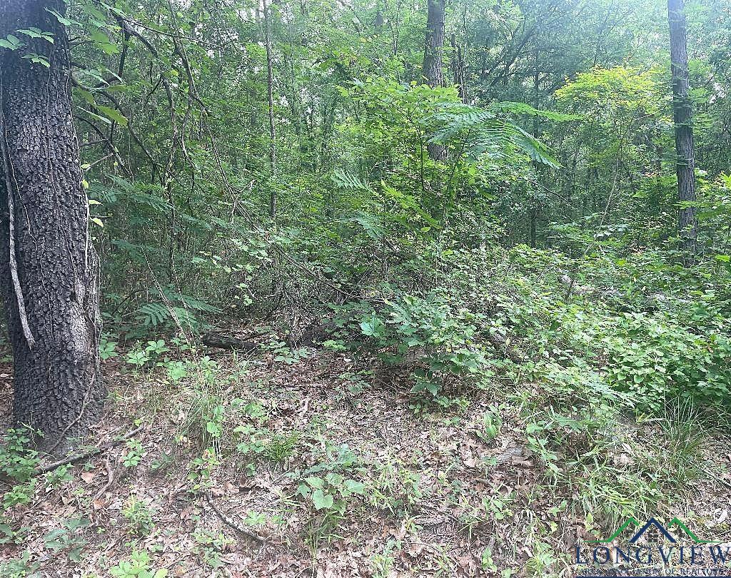 TBD Cr 205, Henderson, Texas image 6