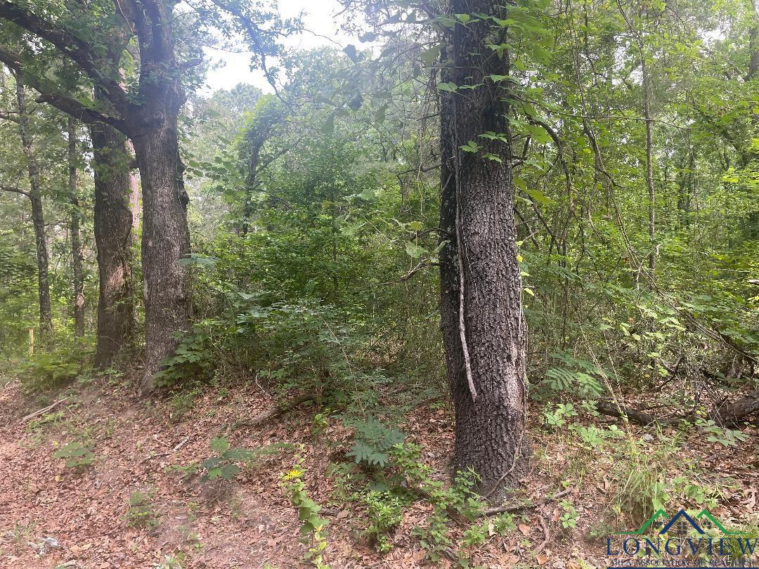 TBD Cr 205, Henderson, Texas image 7