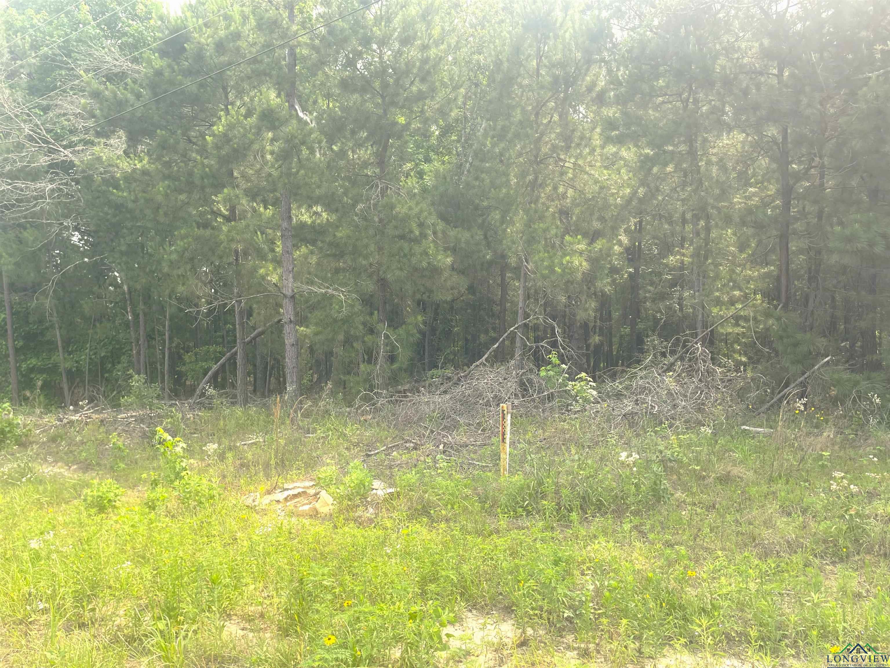 TBD Cr 205, Henderson, Texas image 5
