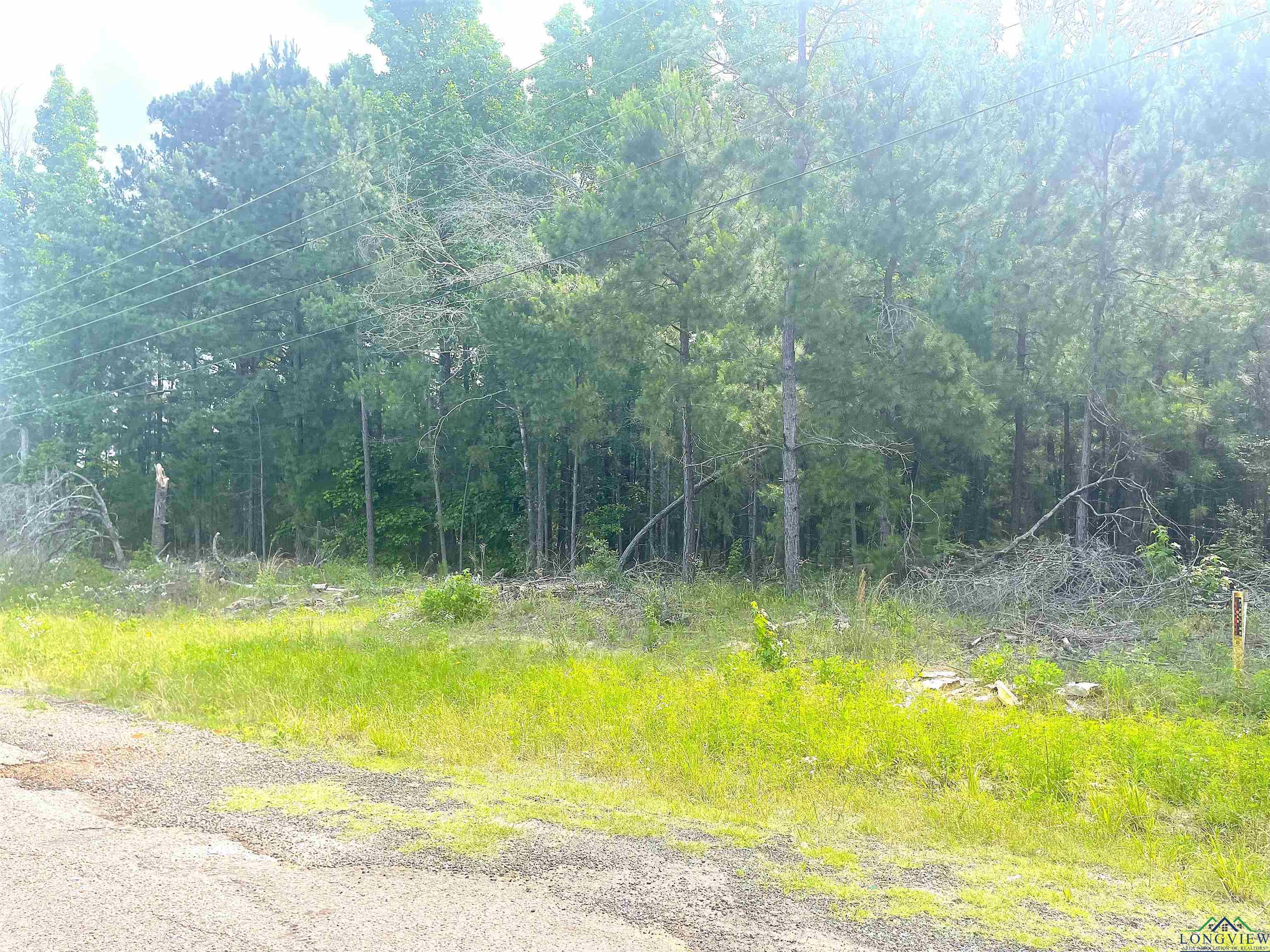 TBD Cr 205, Henderson, Texas image 2