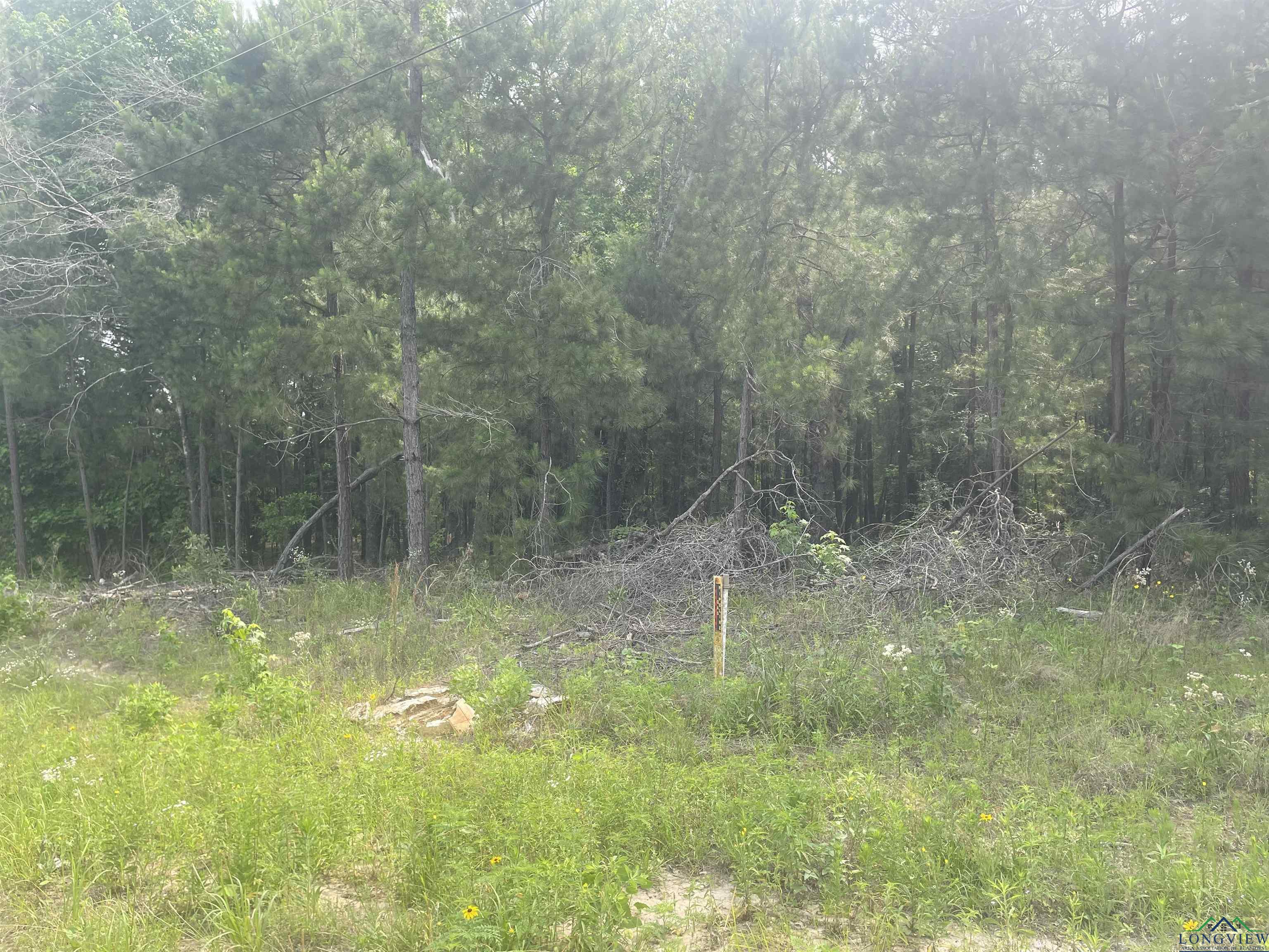 TBD Cr 205, Henderson, Texas image 3