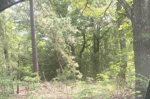 Vacant Land For Sale - TBD Cr 205<br/> Rusk County, Henderson, TX 75652