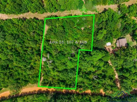 Vacant Land For Sale - TBD Indian Mound Lake Lots 51, 107, And 108<br/> Wood County, Hawkins, TX 75765