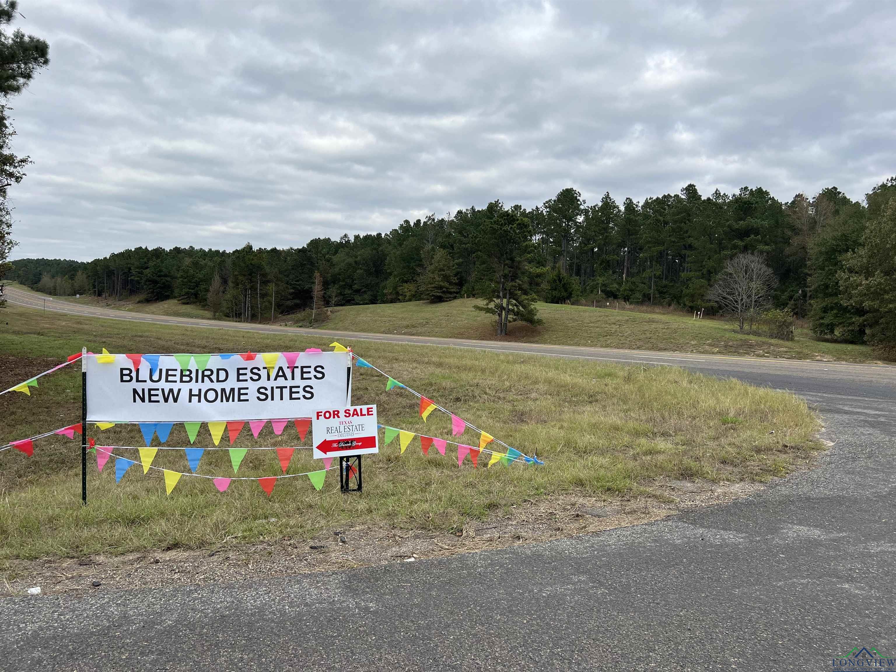 LOT #5 Tbd Bluebird Rd, Gilmer, Texas image 9