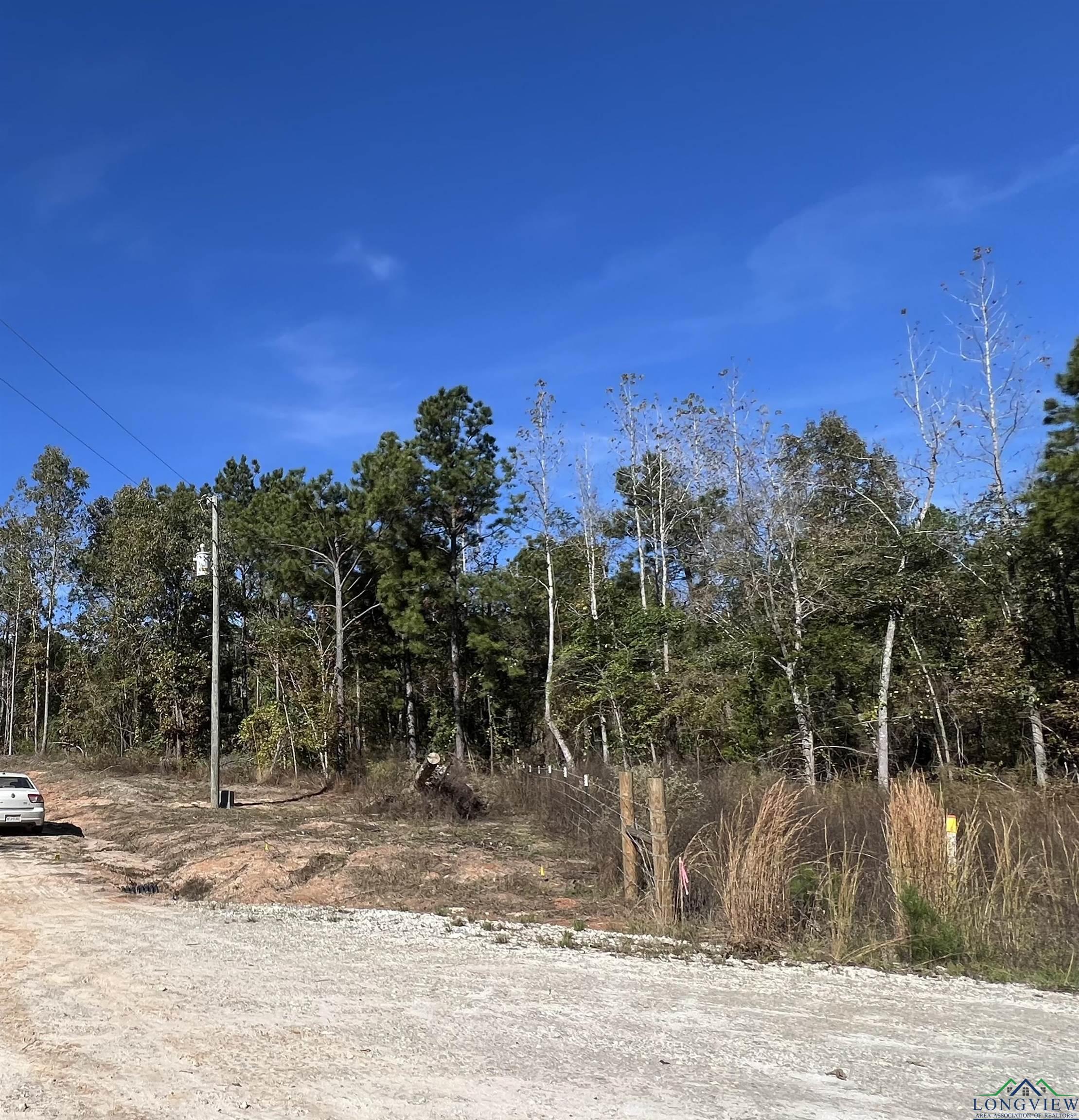 LOT #5 Tbd Bluebird Rd, Gilmer, Texas image 4