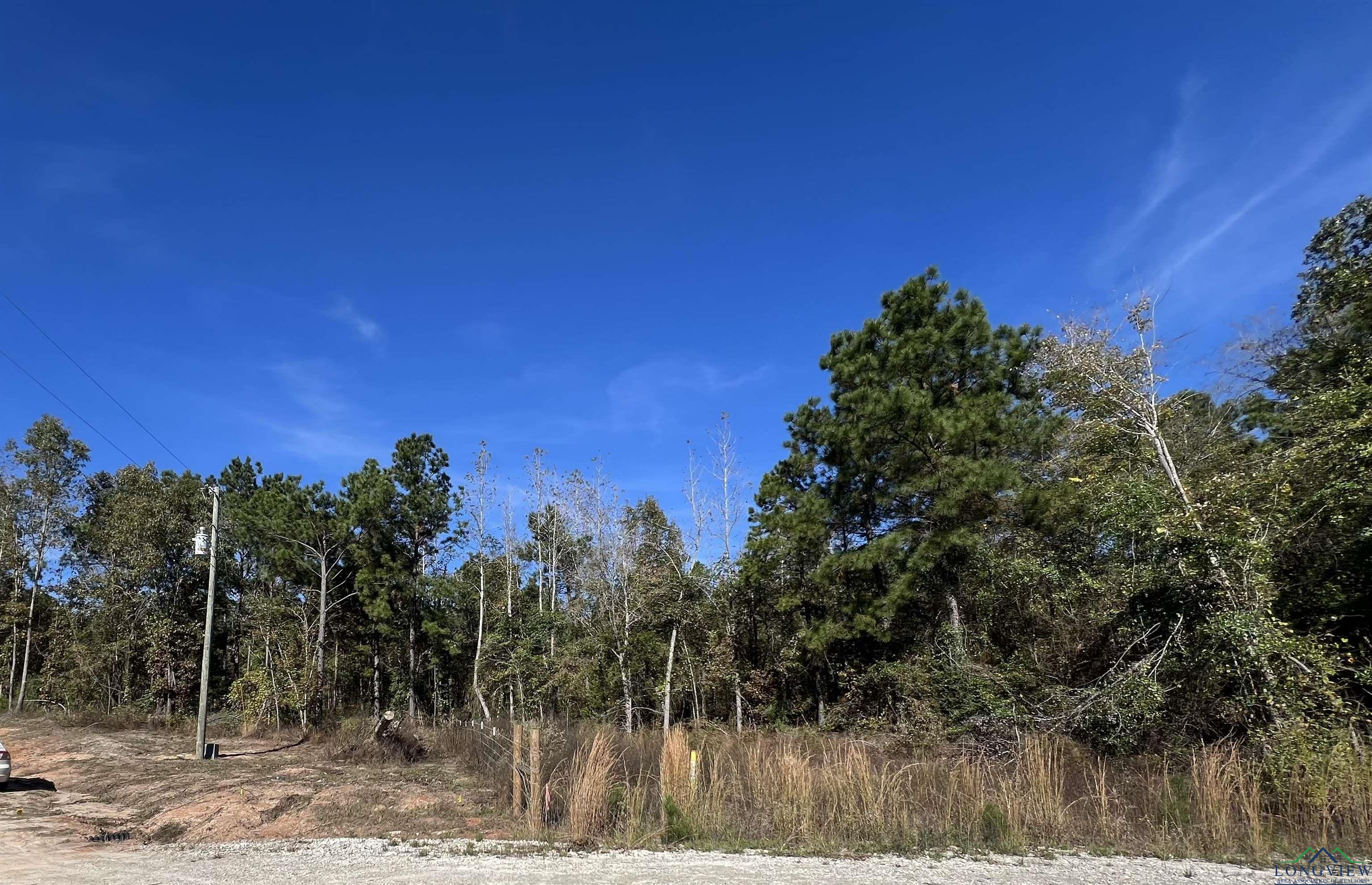 LOT #5 Tbd Bluebird Rd, Gilmer, Texas image 2