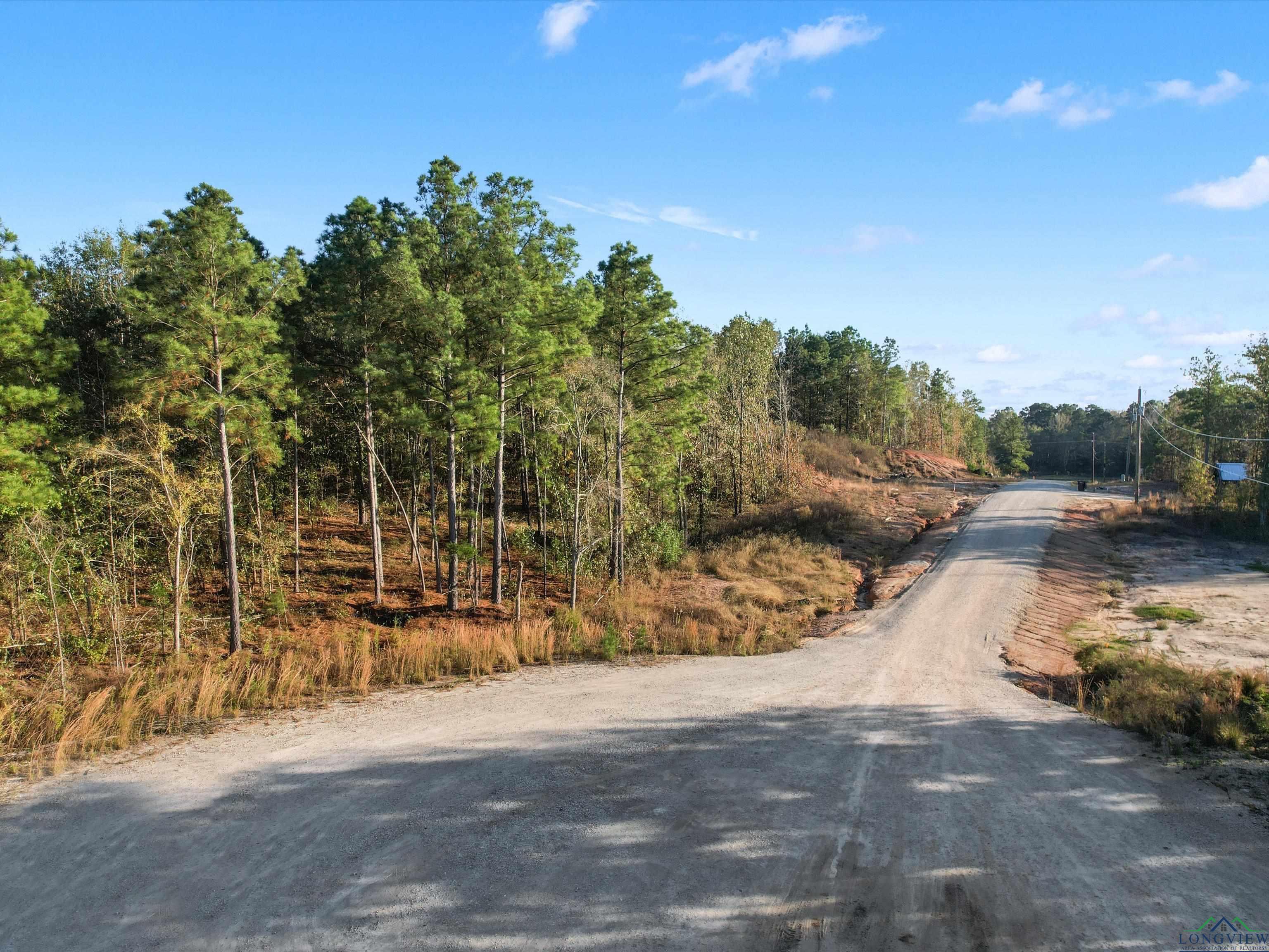 LOT #5 Tbd Bluebird Rd, Gilmer, Texas image 5