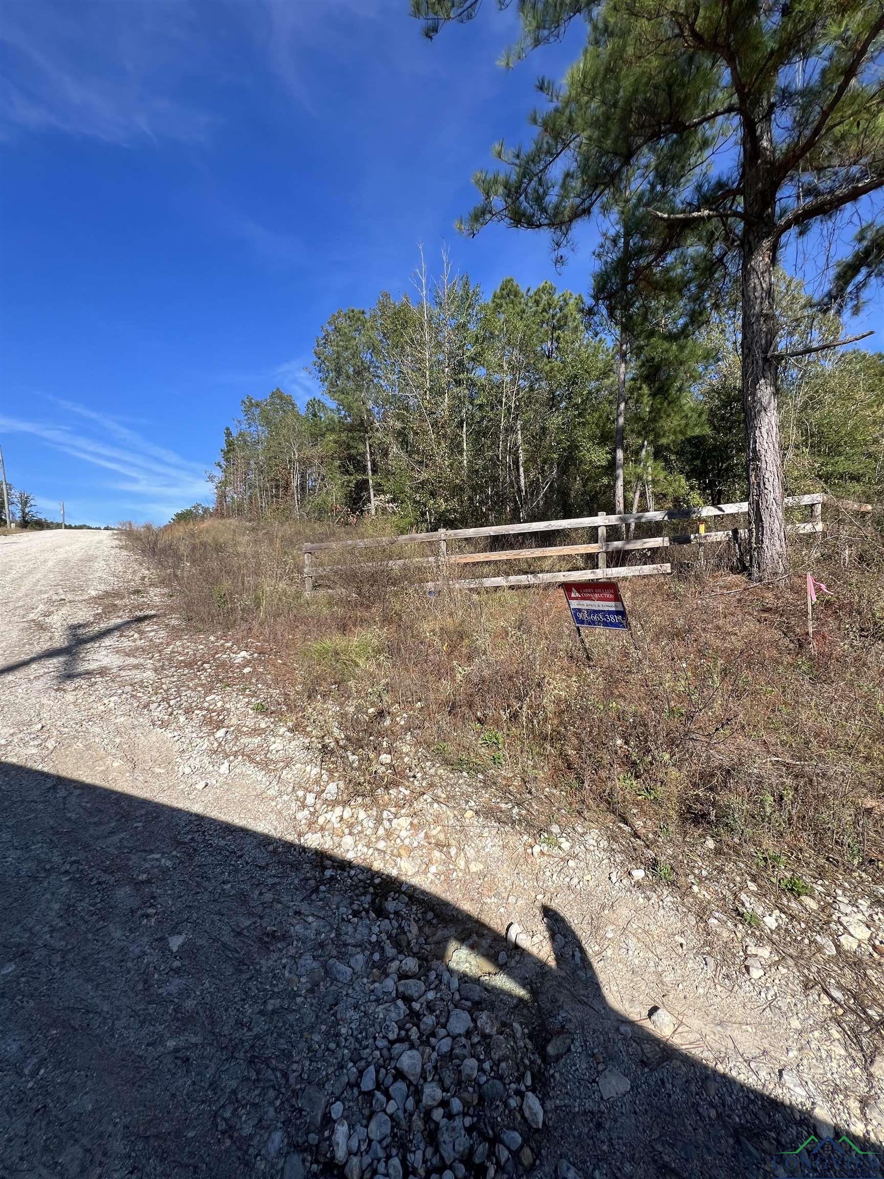 LOT #5 Tbd Bluebird Rd, Gilmer, Texas image 8