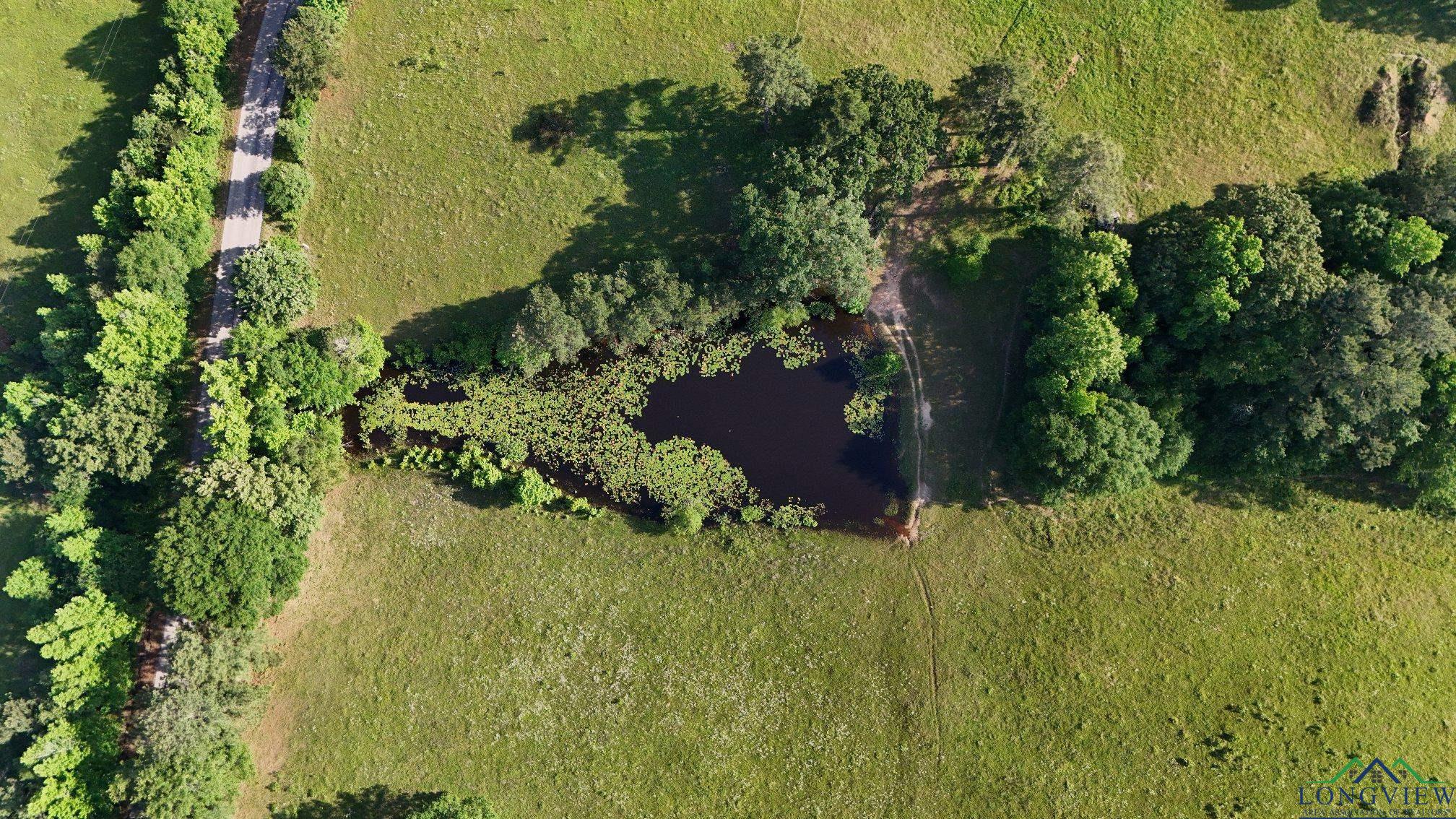 Mcphail Rd, Harleton, Texas image 3