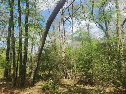 Vacant Land For Sale - TBD Baker Bridge Road<br/> Harrison County, Marshall, TX 75672