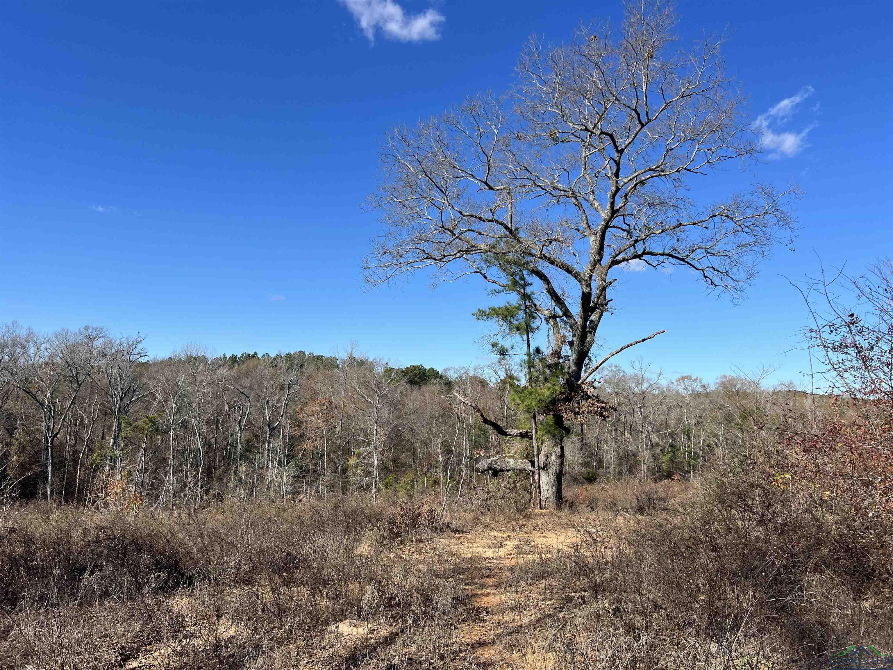 TBD Cr 129 & Cr 15, Tyler, Texas image 9