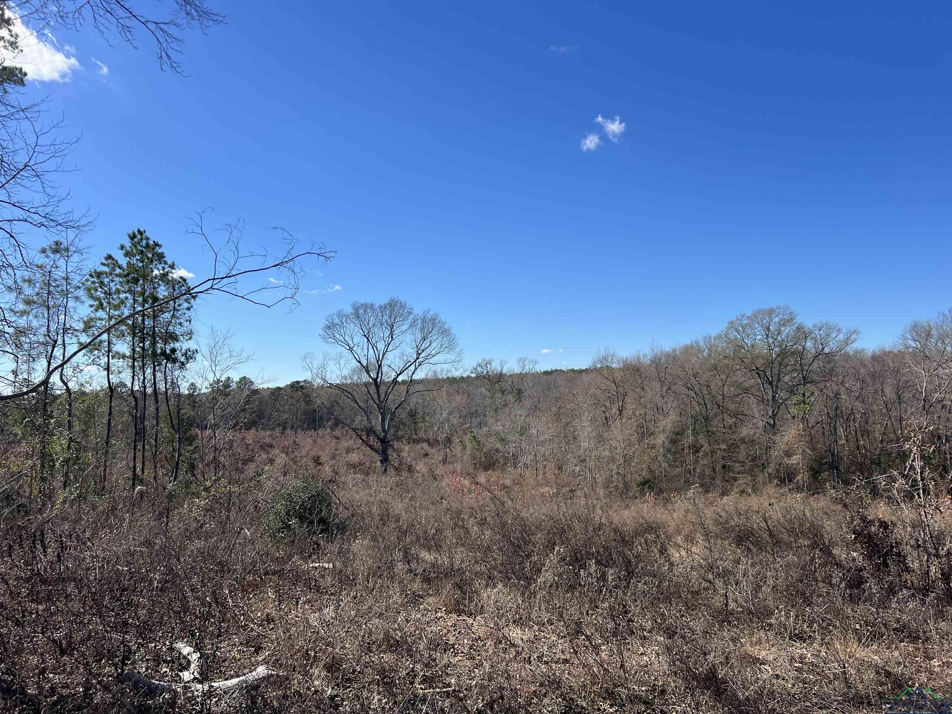 TBD Cr 129 & Cr 15, Tyler, Texas image 8