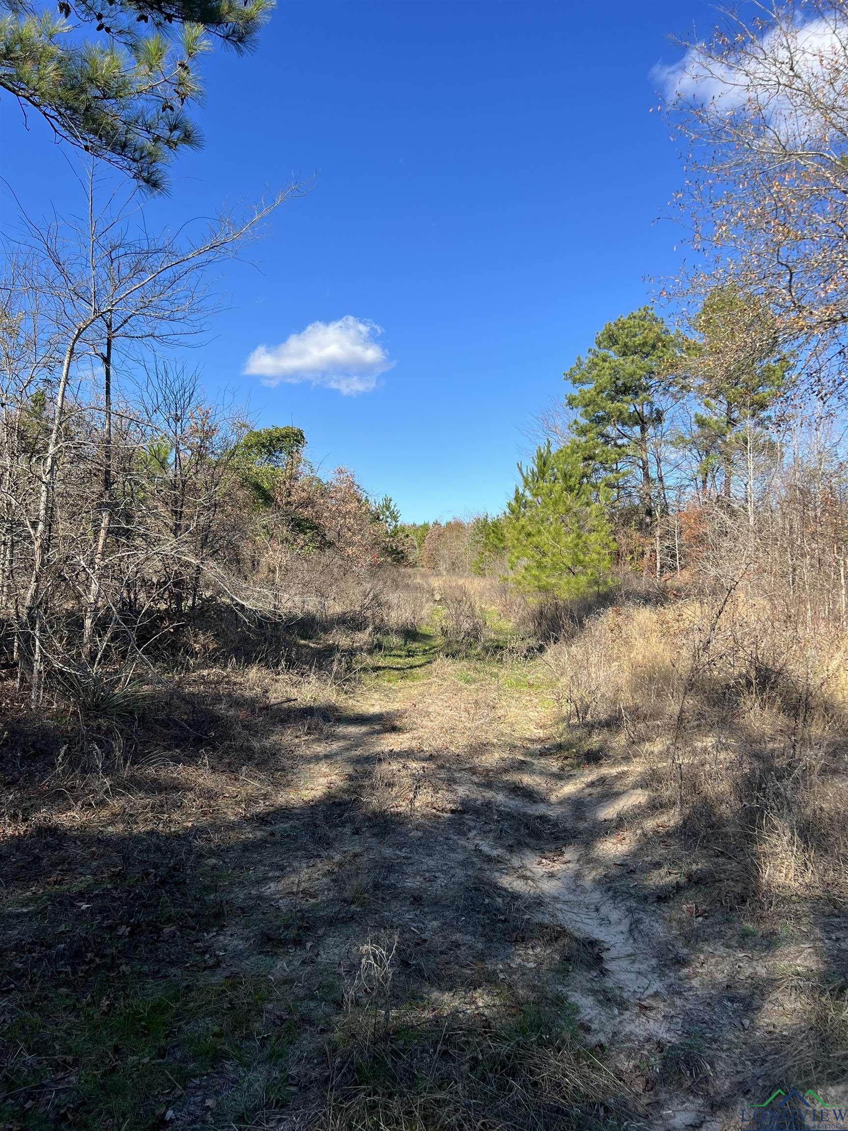 TBD Cr 129 & Cr 15, Tyler, Texas image 24