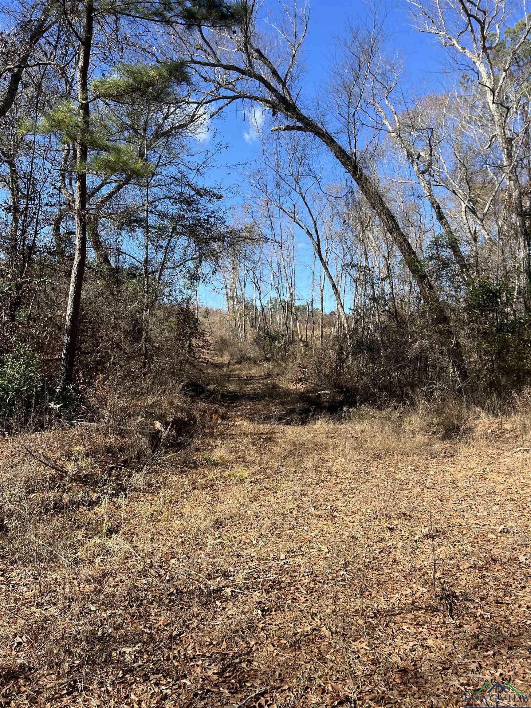 TBD Cr 129 & Cr 15, Tyler, Texas image 26