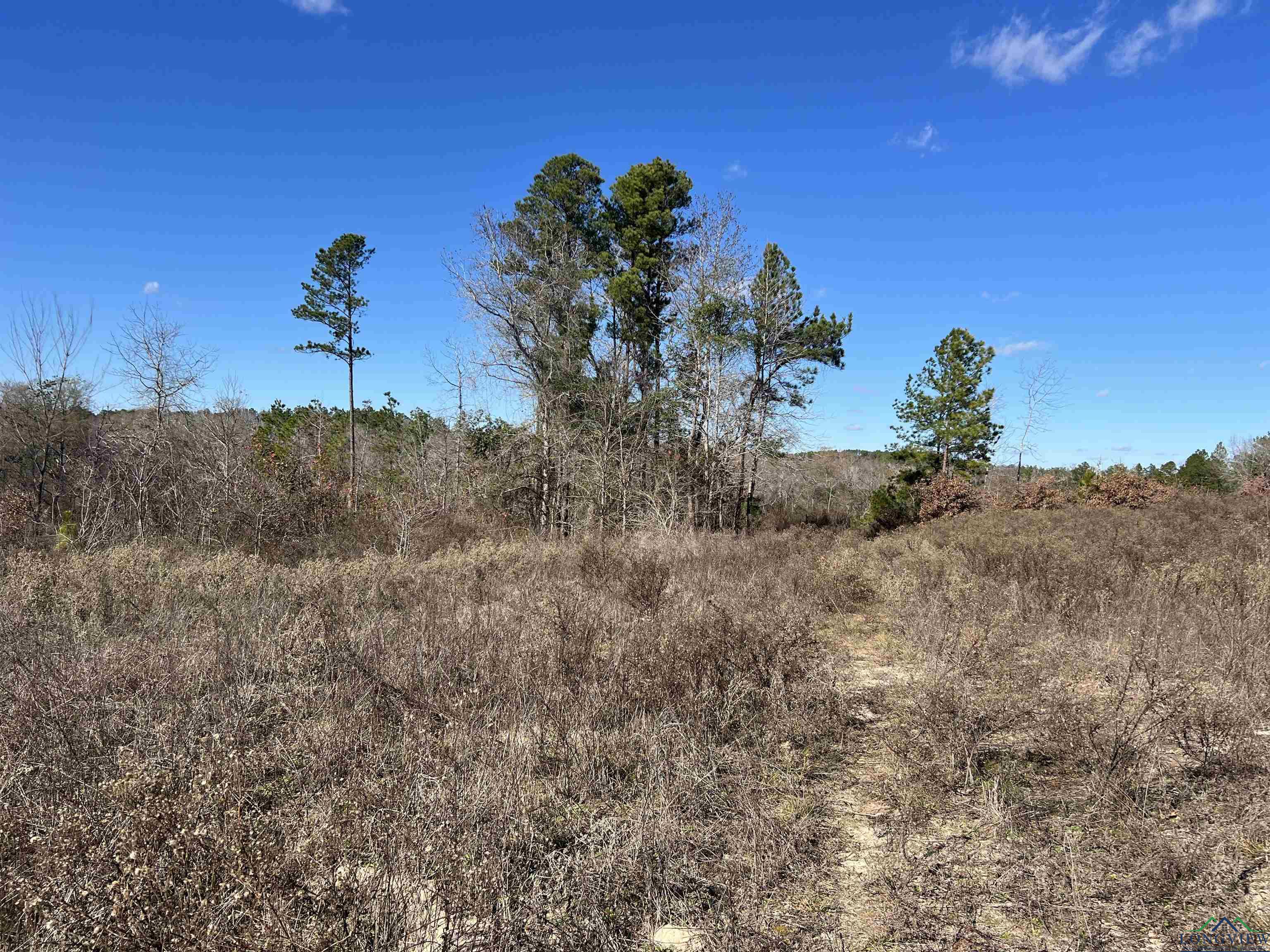 TBD Cr 129 & Cr 15, Tyler, Texas image 7