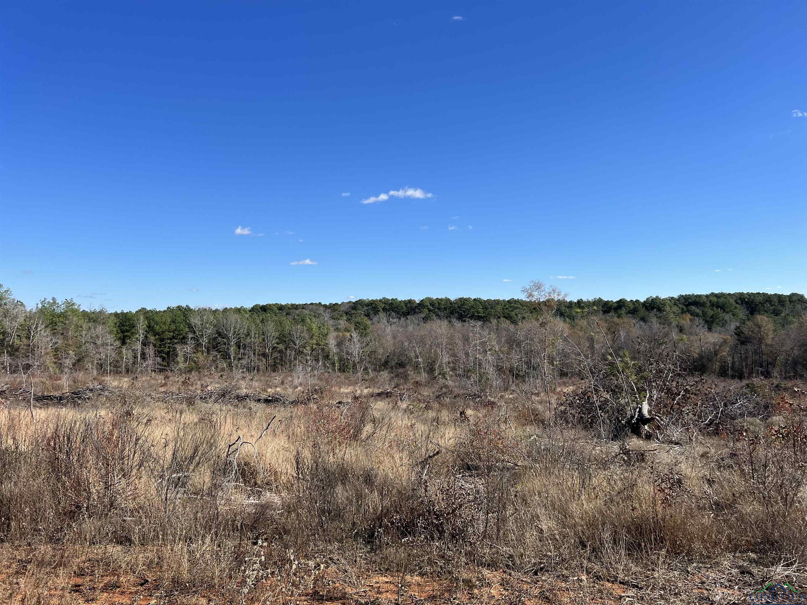 TBD Cr 129 & Cr 15, Tyler, Texas image 16