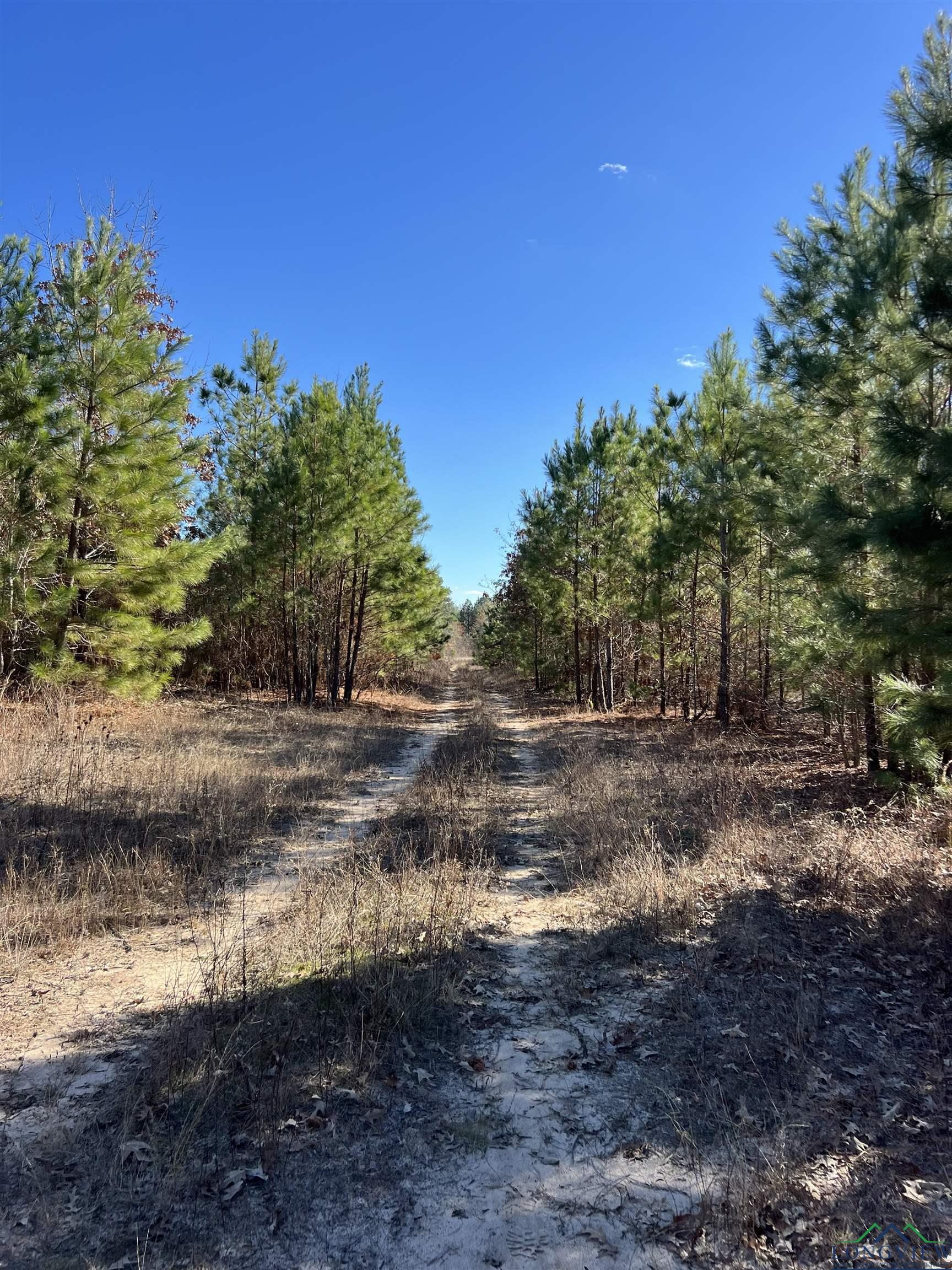 TBD Cr 129 & Cr 15, Tyler, Texas image 21