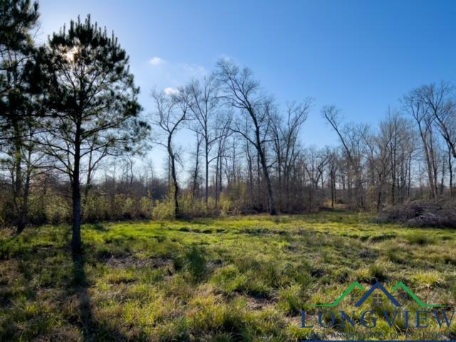 TBD Cr 1759, Linden, Texas image 28