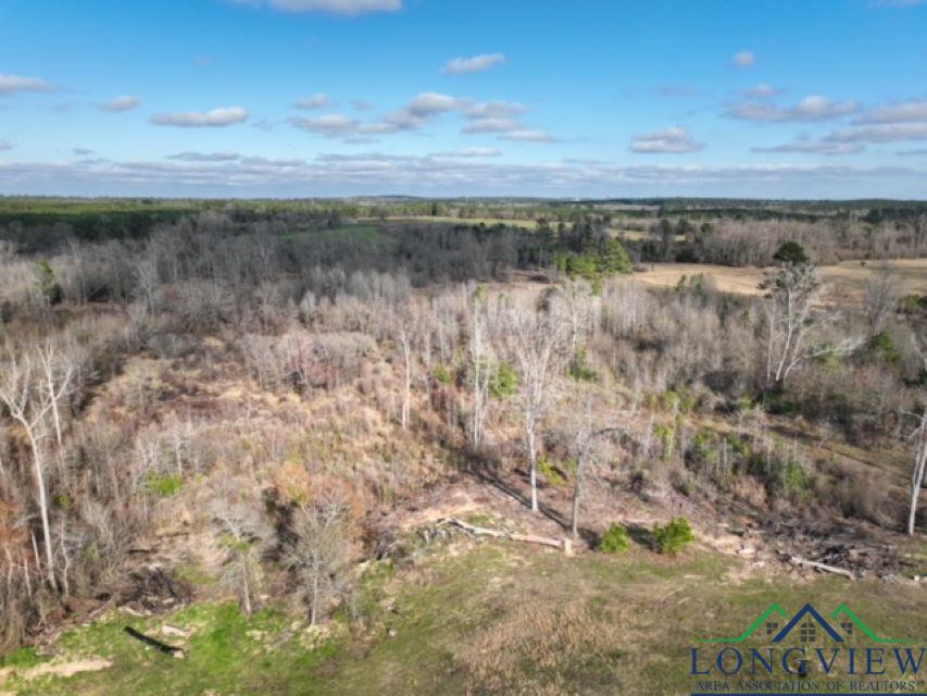 TBD Cr 1759, Linden, Texas image 4