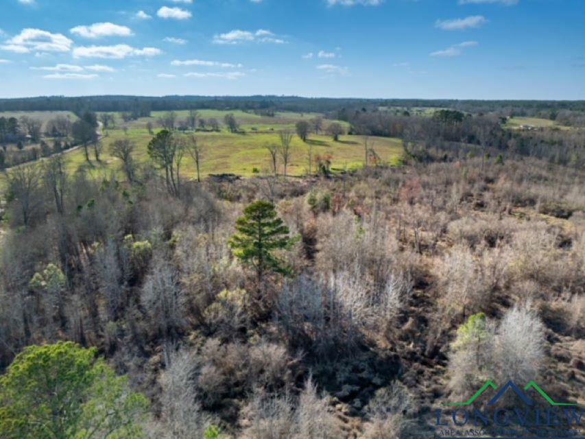 TBD Cr 1759, Linden, Texas image 9